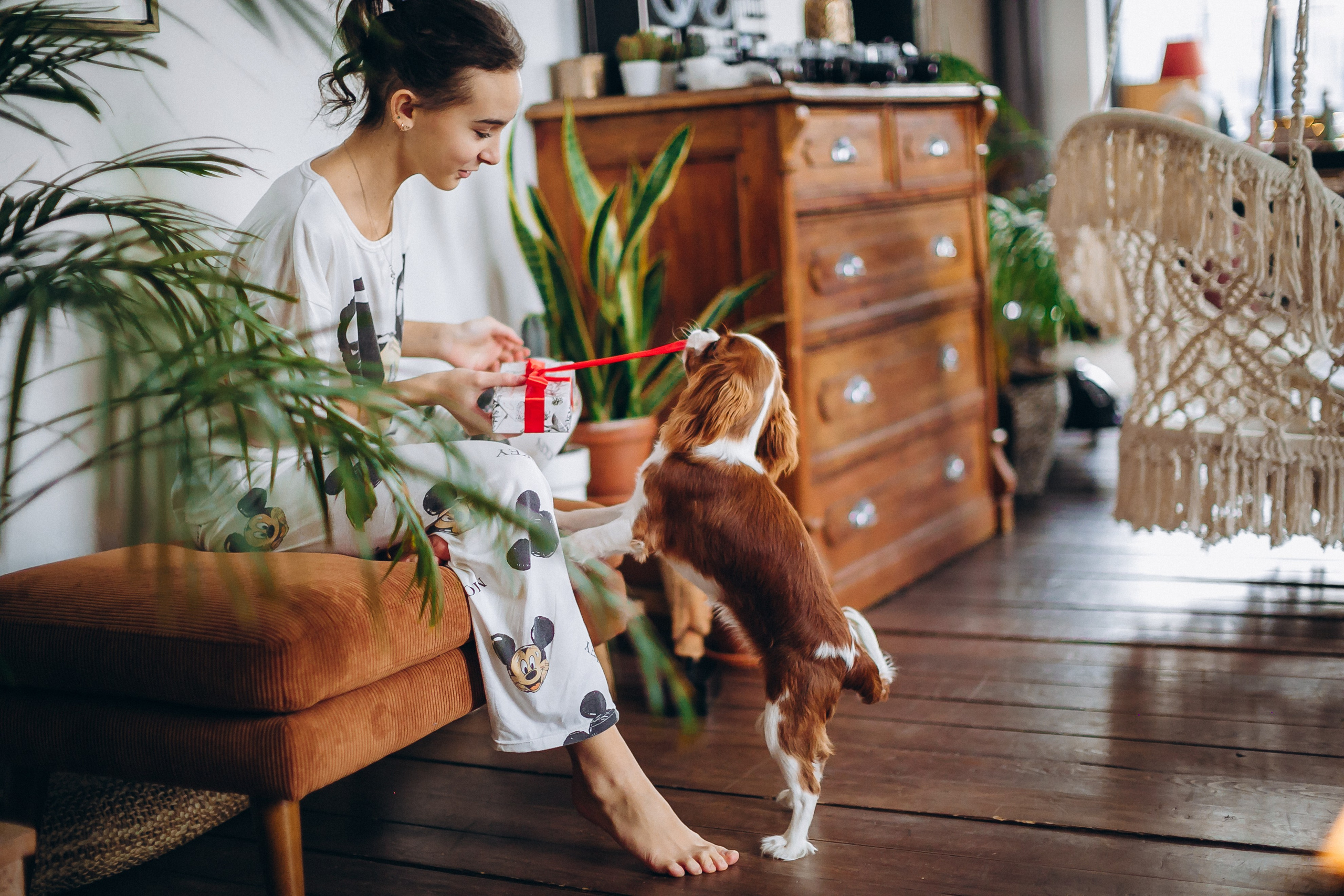 Новогодние фотосессии. Семейный, детский и школьный фотограф в Москве Рудницкая Анна