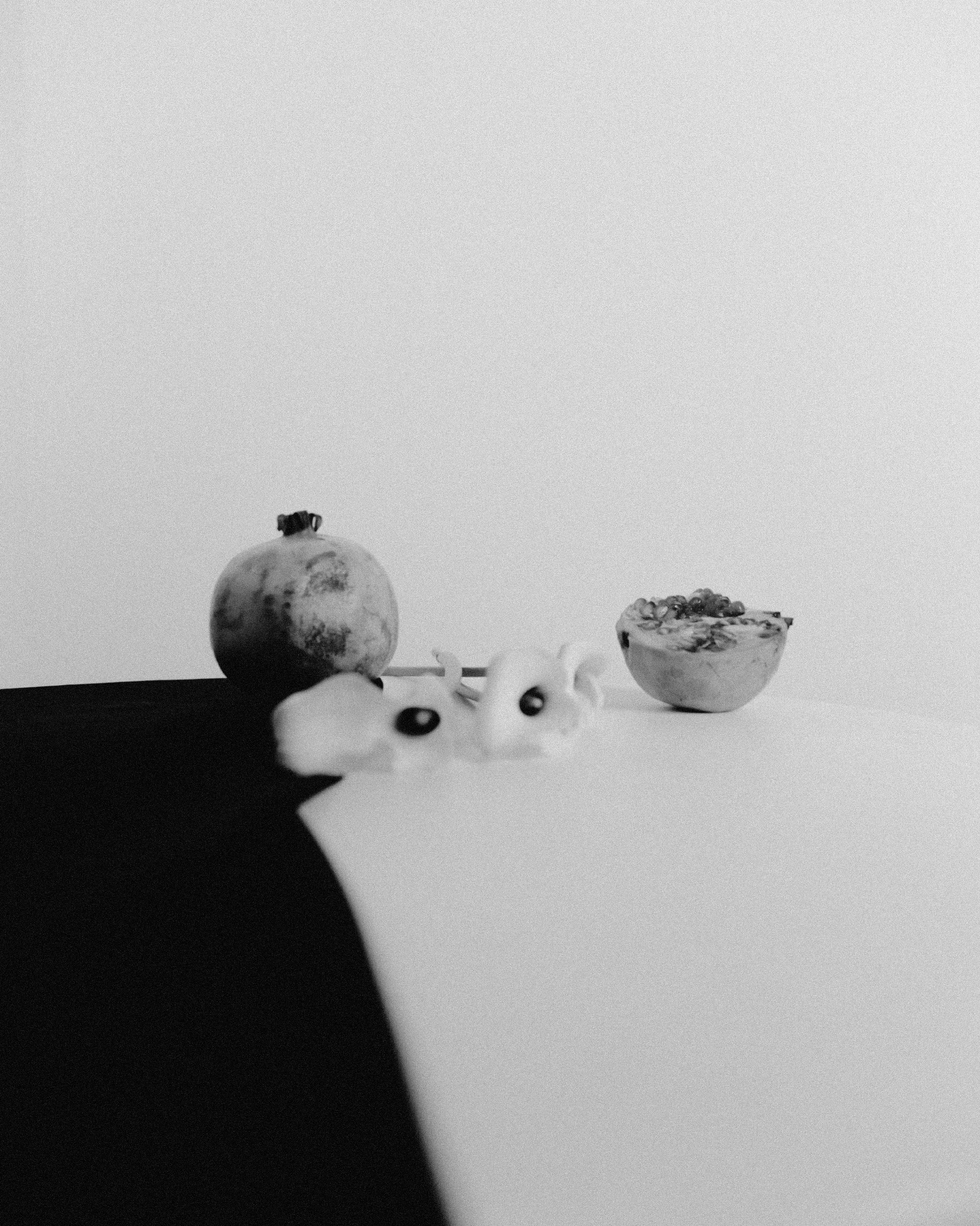 Arina. Фотограф Санкт-Петербург Макарова Дарья