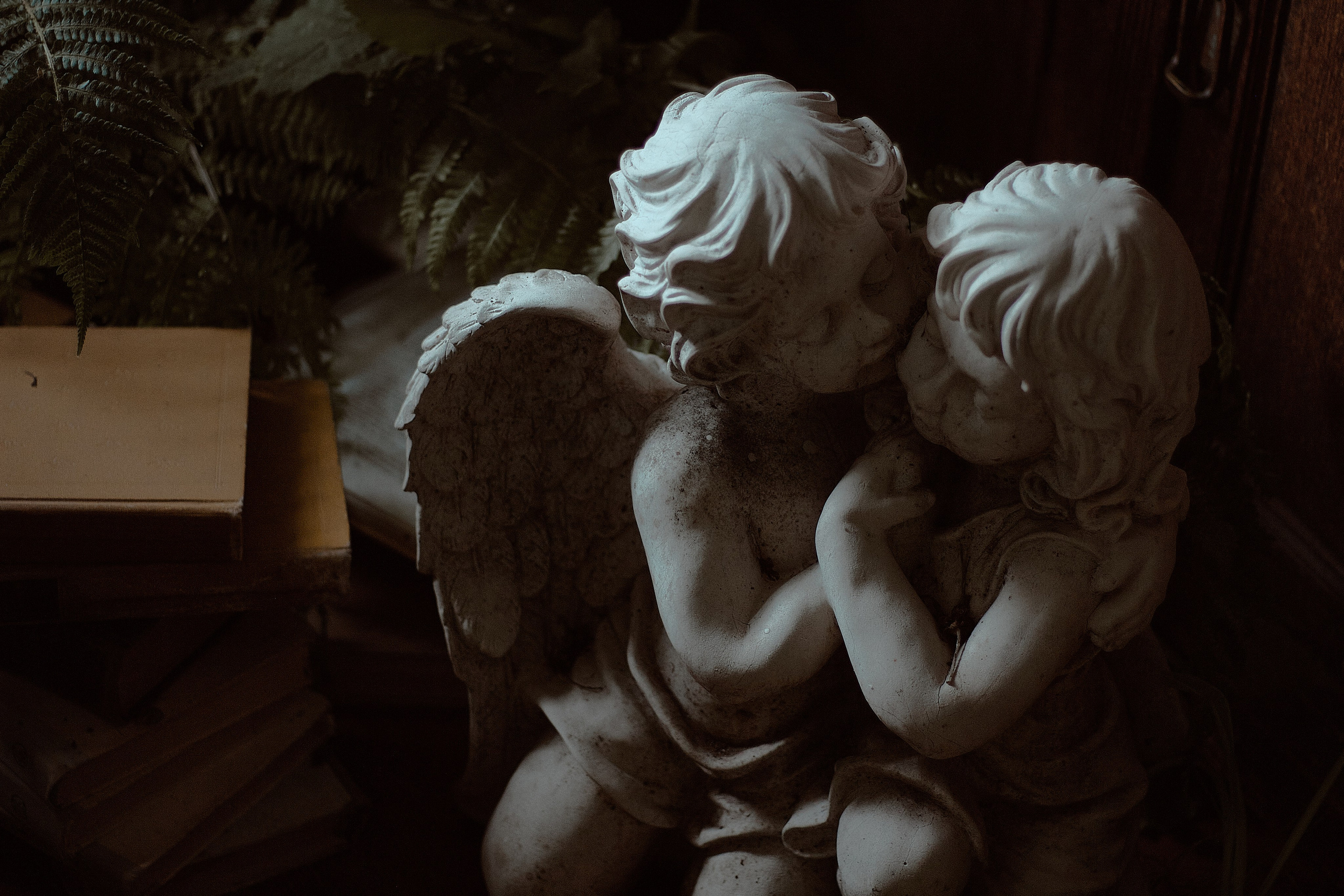 Люпин. Фотограф лавстори Москва/МО Приятелева Ангелина