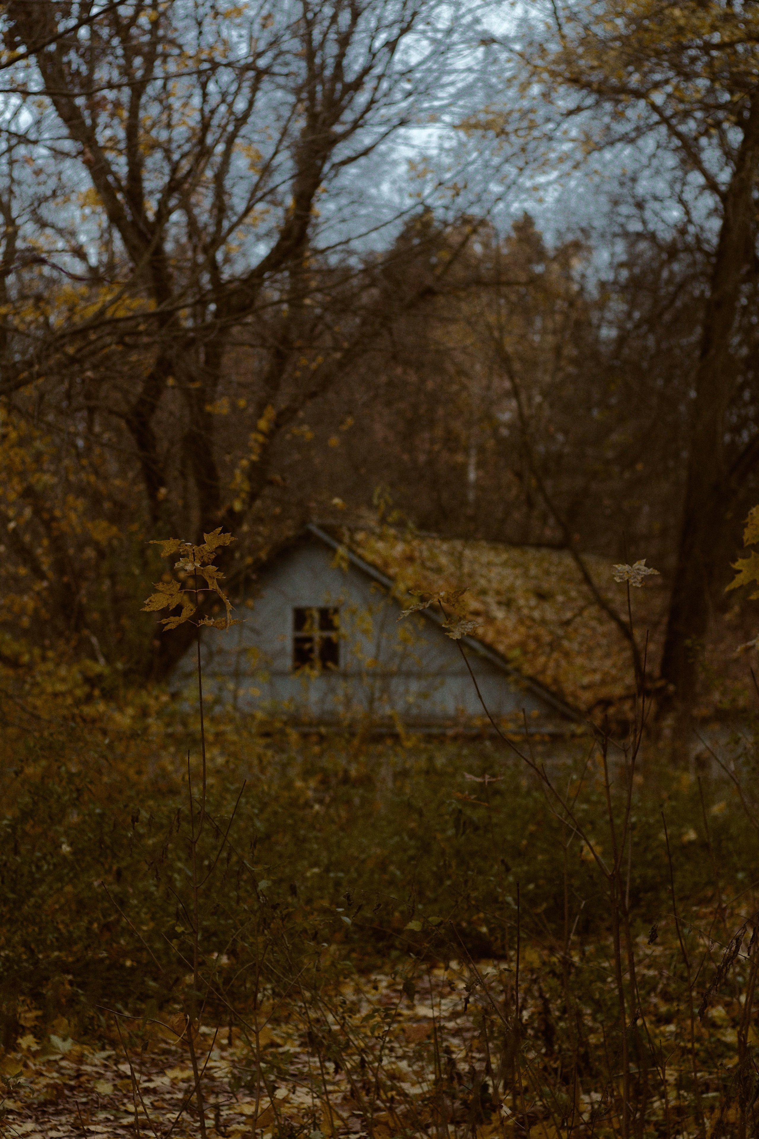 Русская сказка. Фотограф лавстори Москва/МО Приятелева Ангелина