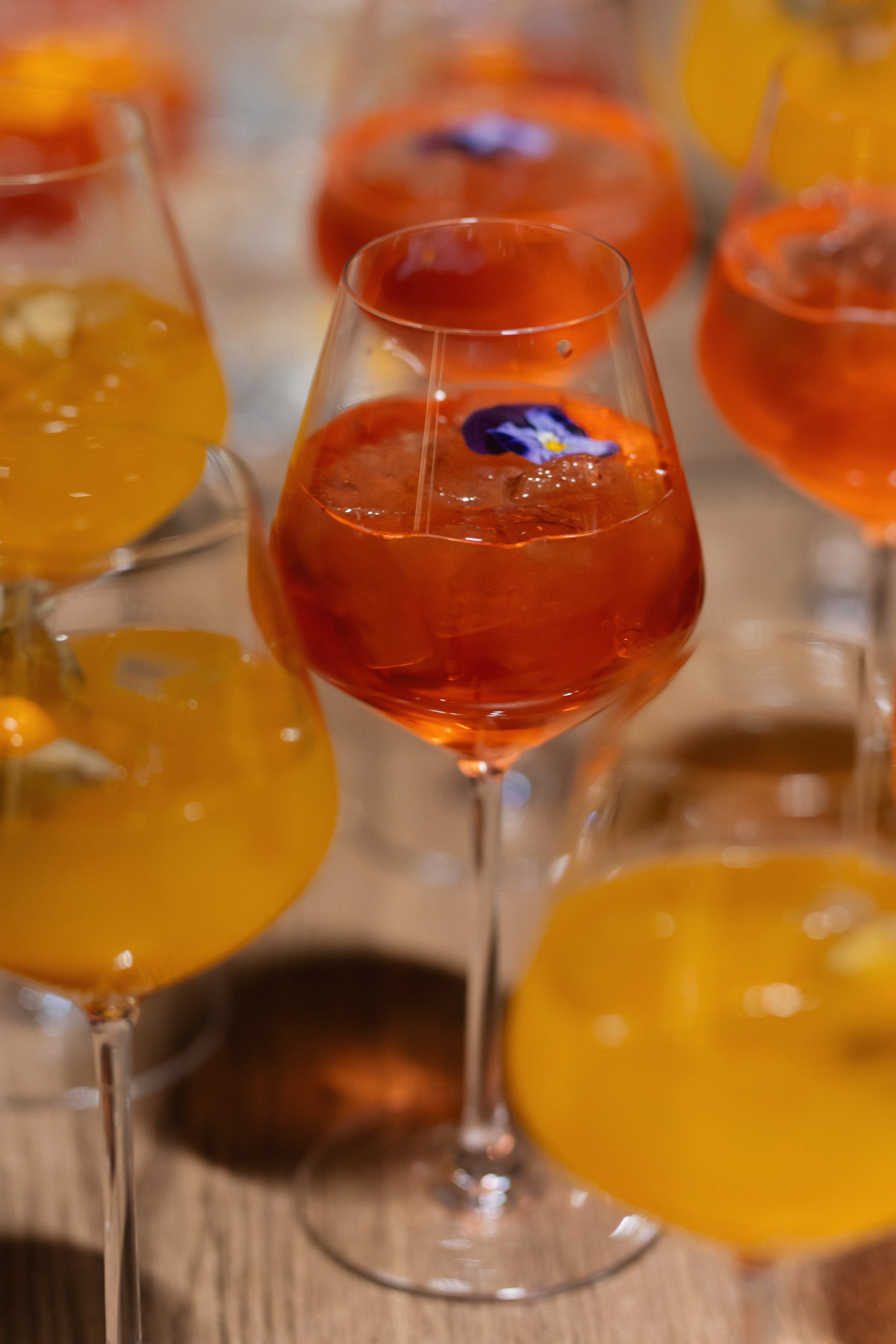 «ПИР». Maria Startseva Photo