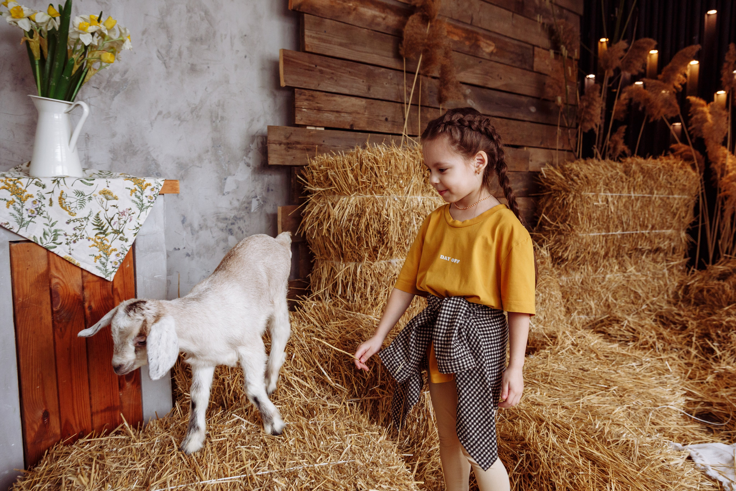 Козлик 2025. Фотограф новорожденных Тверь Диана Муляева