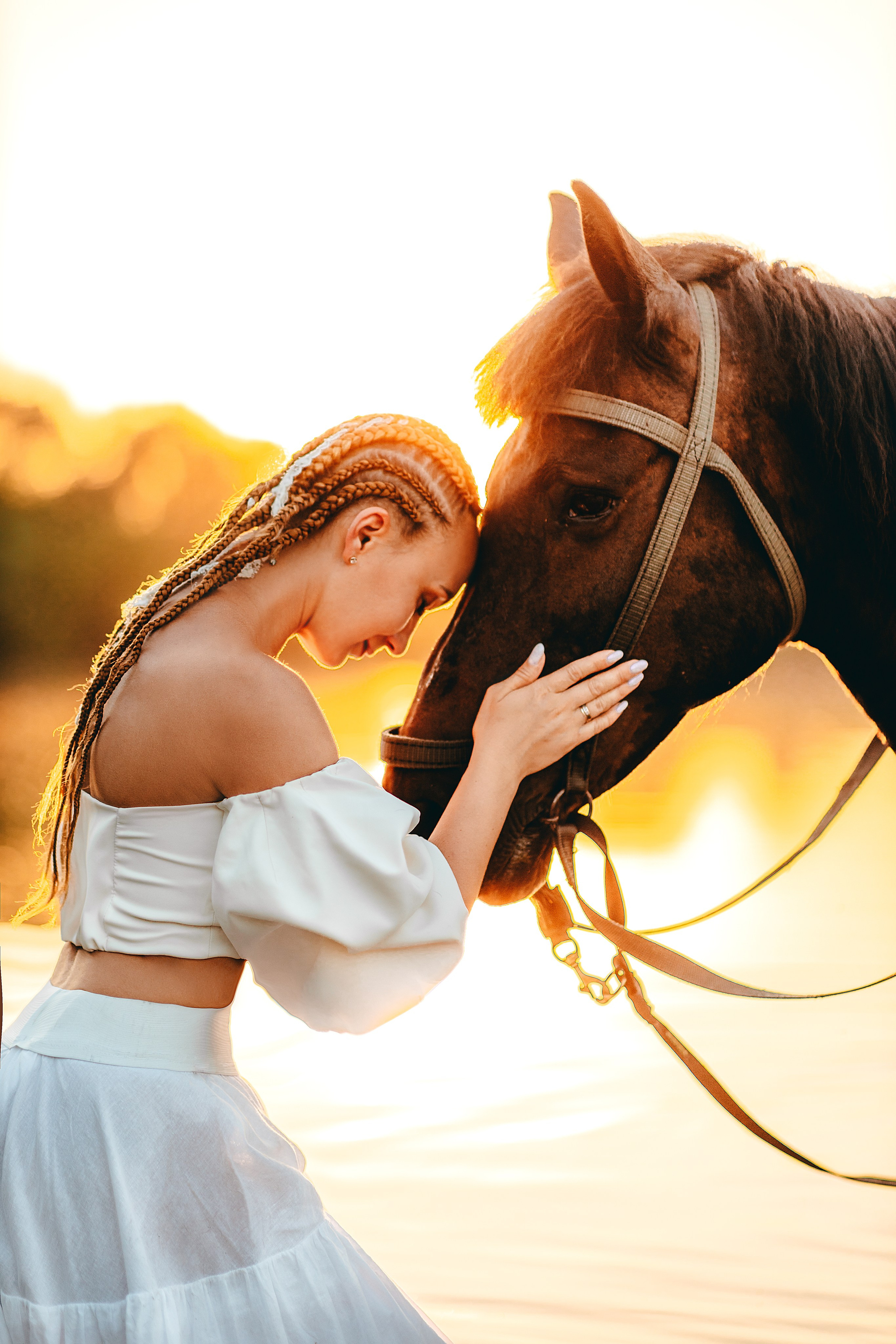 Закатная история