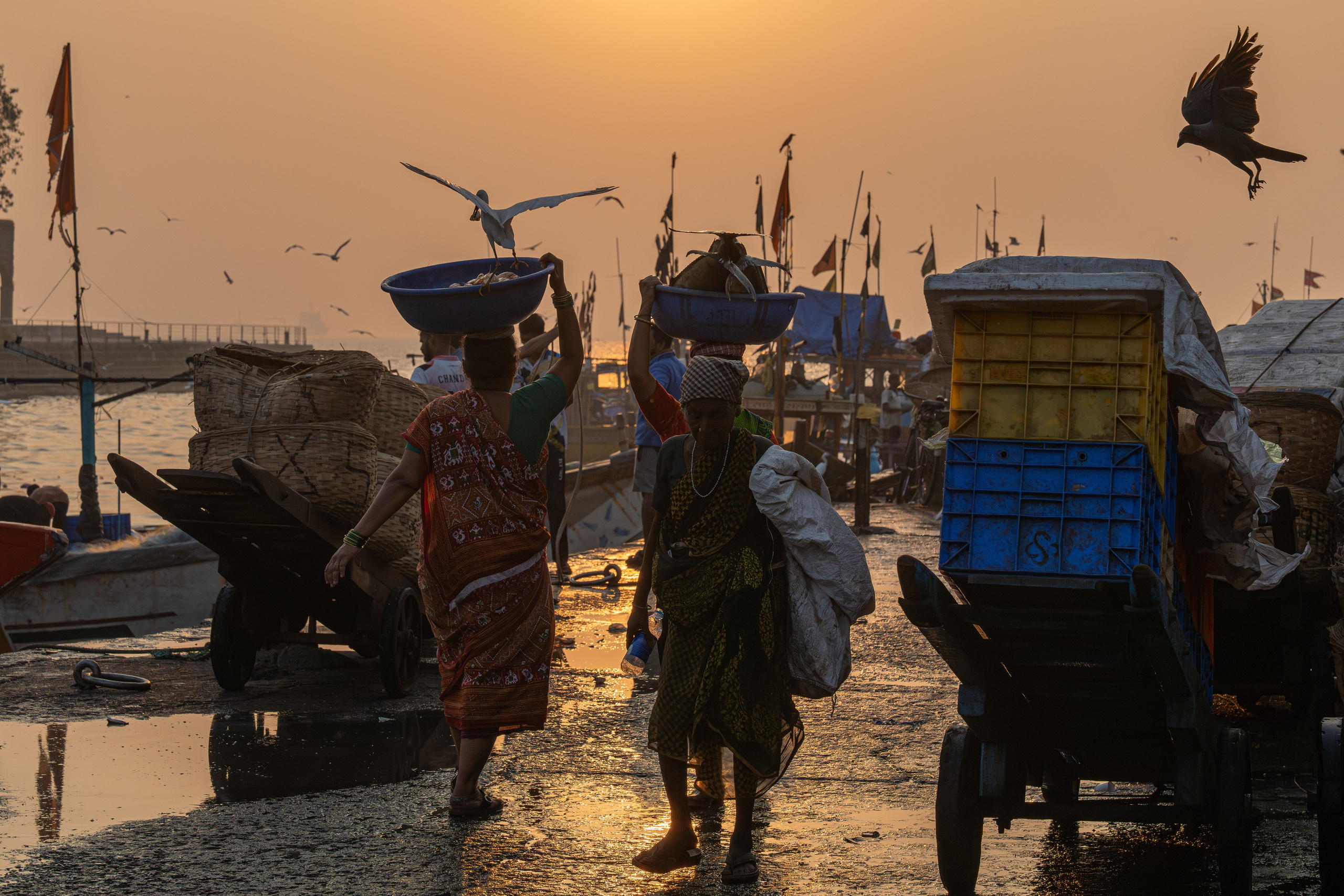 India 2024-2025. Dimitri Bakhtadze photographer