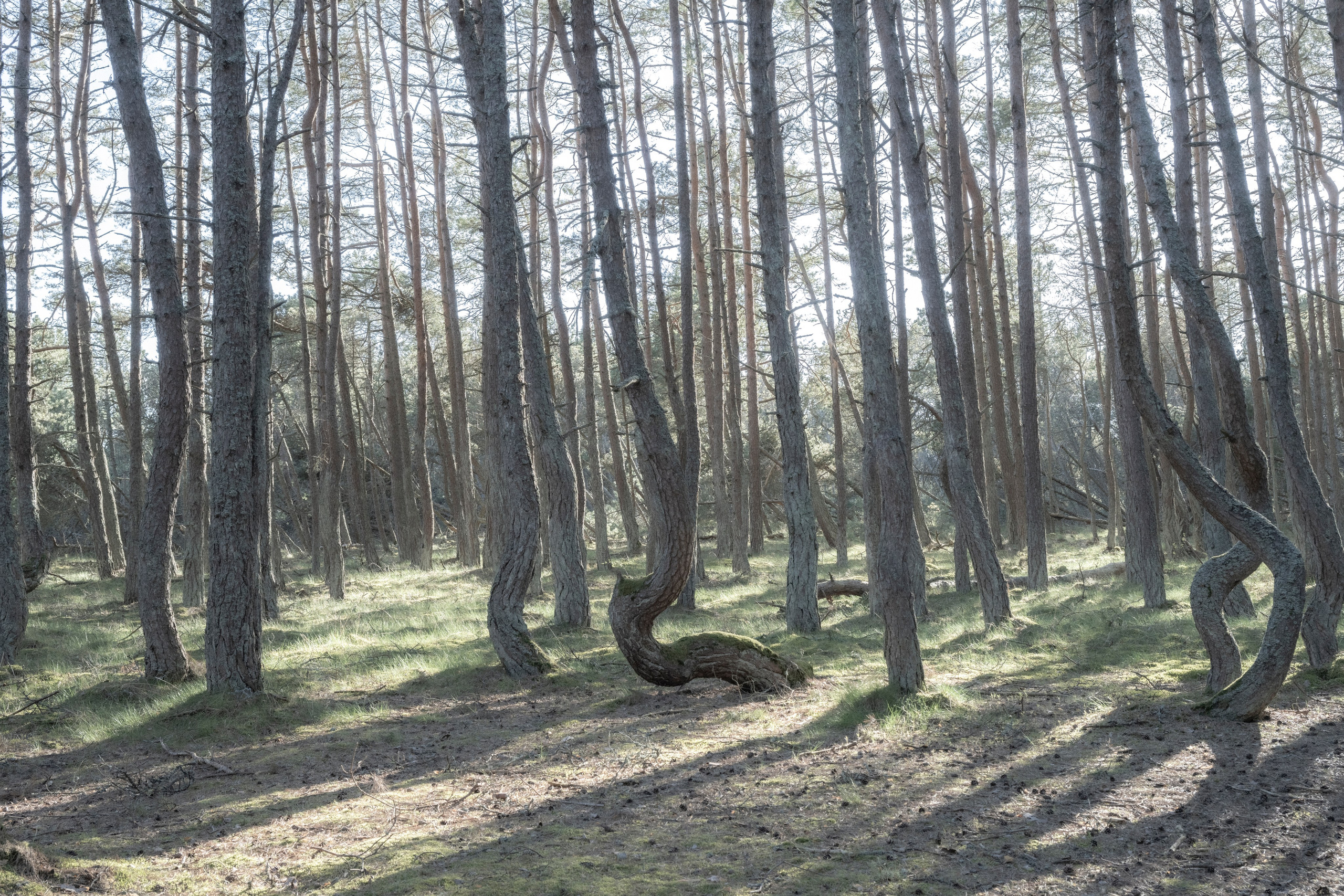 Калининград