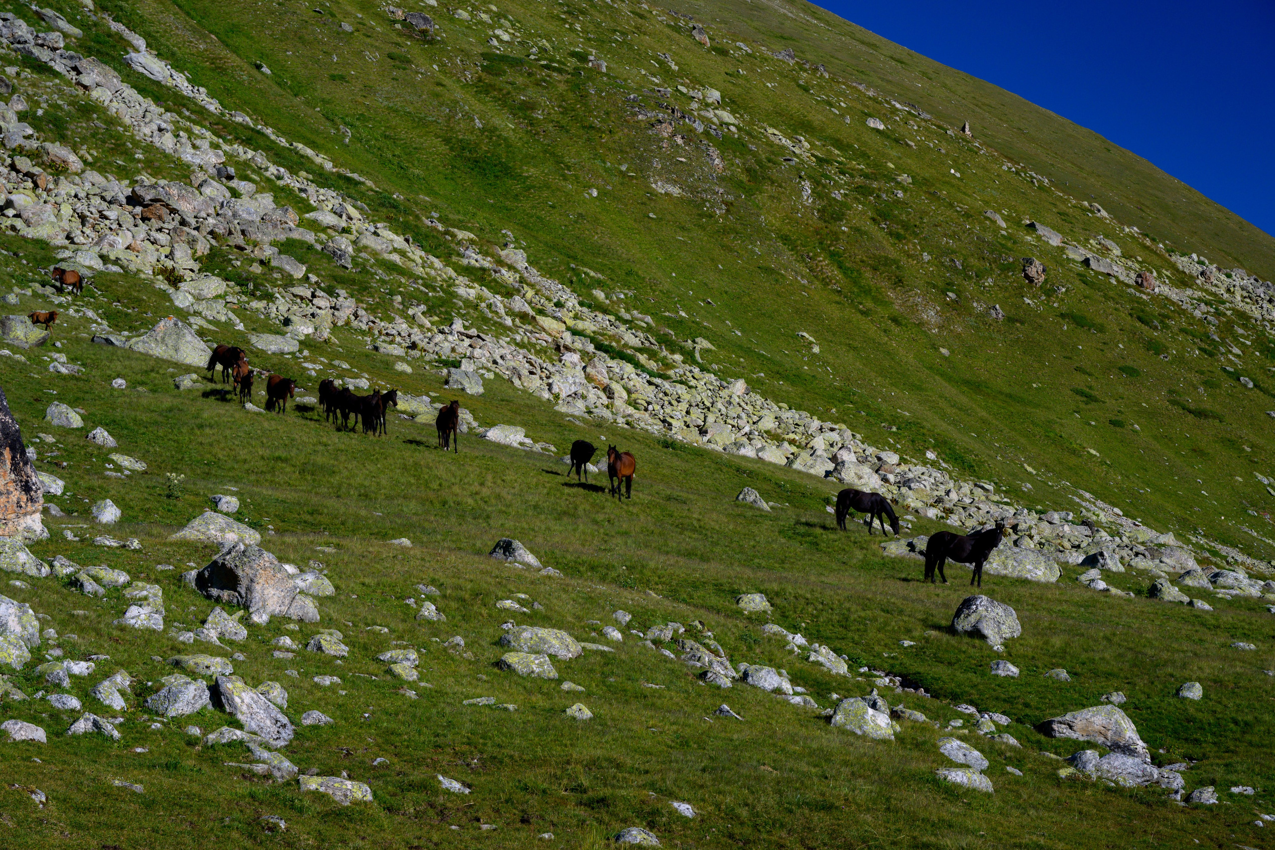 Экспедиция 2025