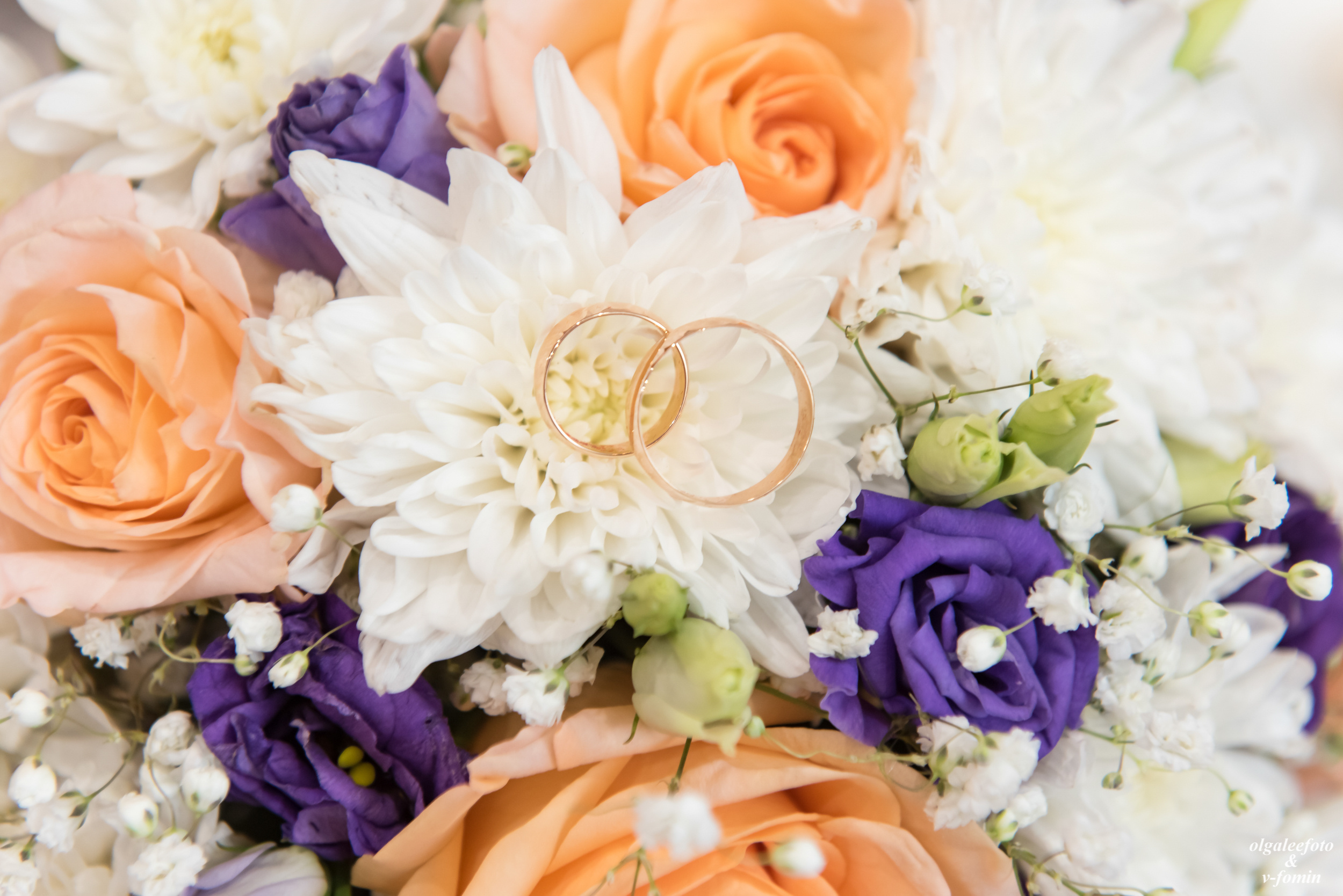 Свадебный фотограф иркутск. Ольга Ли свадебный семейный фотограф Иркутск