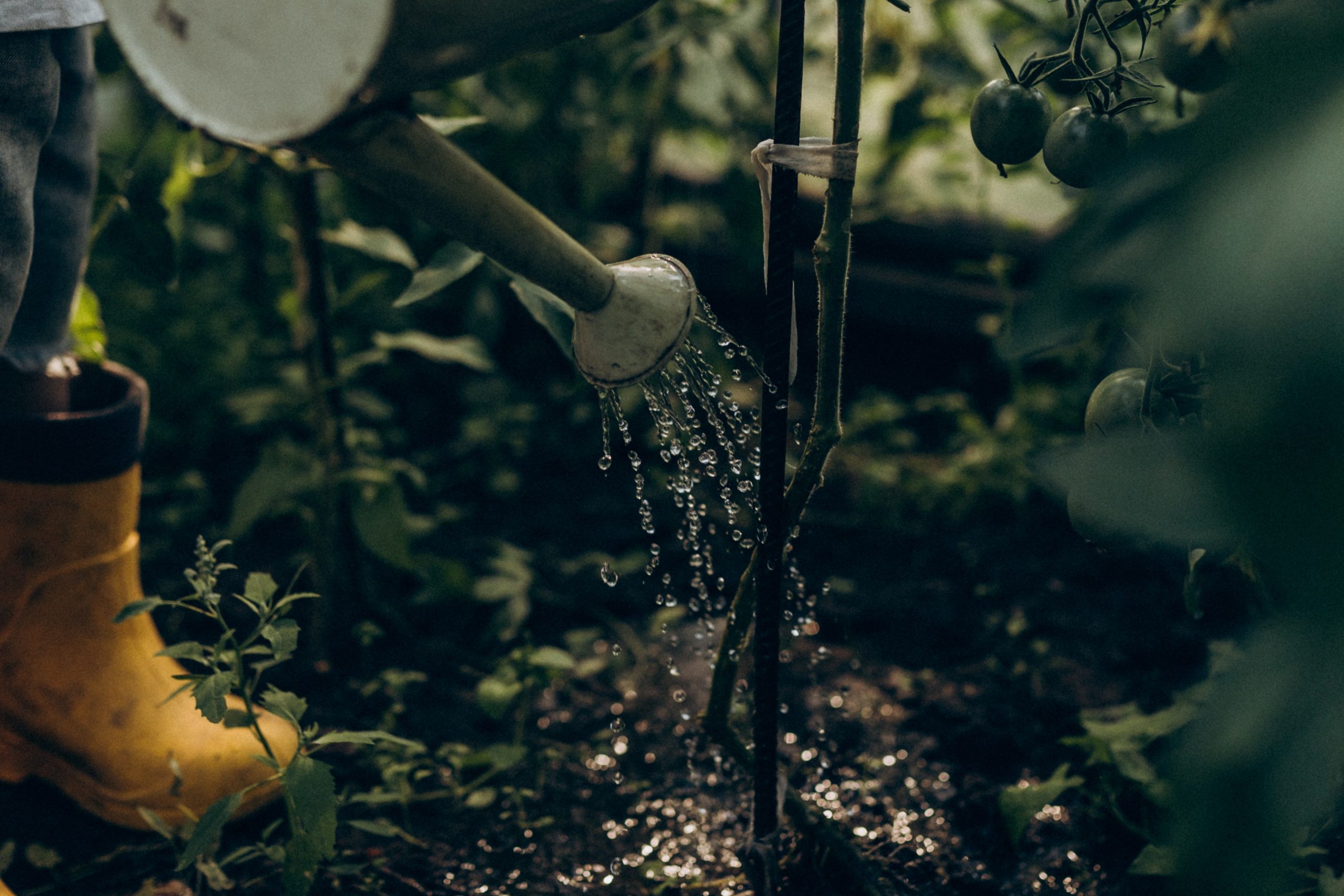 Дачная история. Семейный фотограф lifestyle в Новосибирске Елена Шпилевая