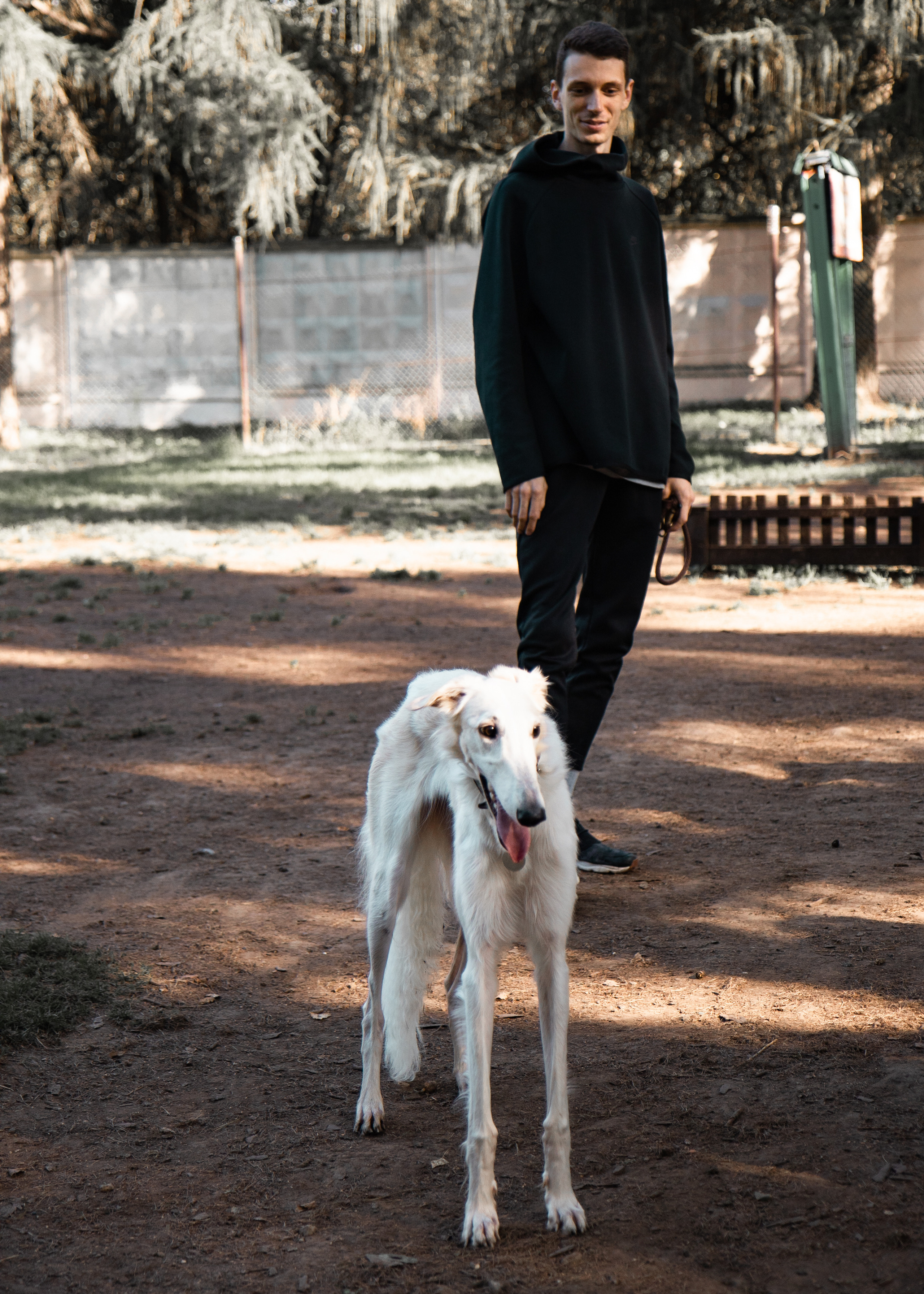 Наши любимые питомцы. Портретный и семейный фотограф из Москвы Светлана Голубцова