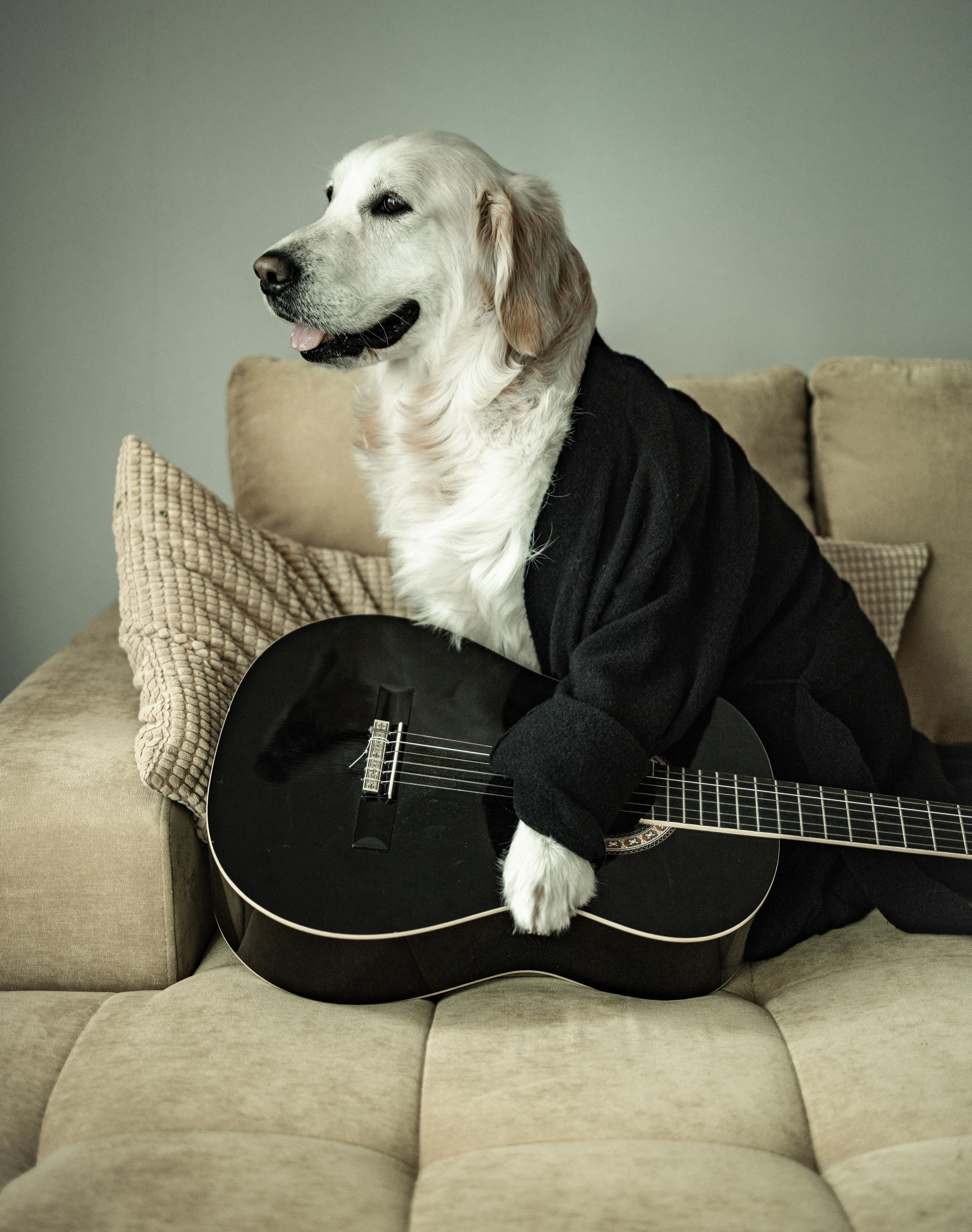 Наши любимые питомцы. Портретный и семейный фотограф из Москвы Светлана Голубцова