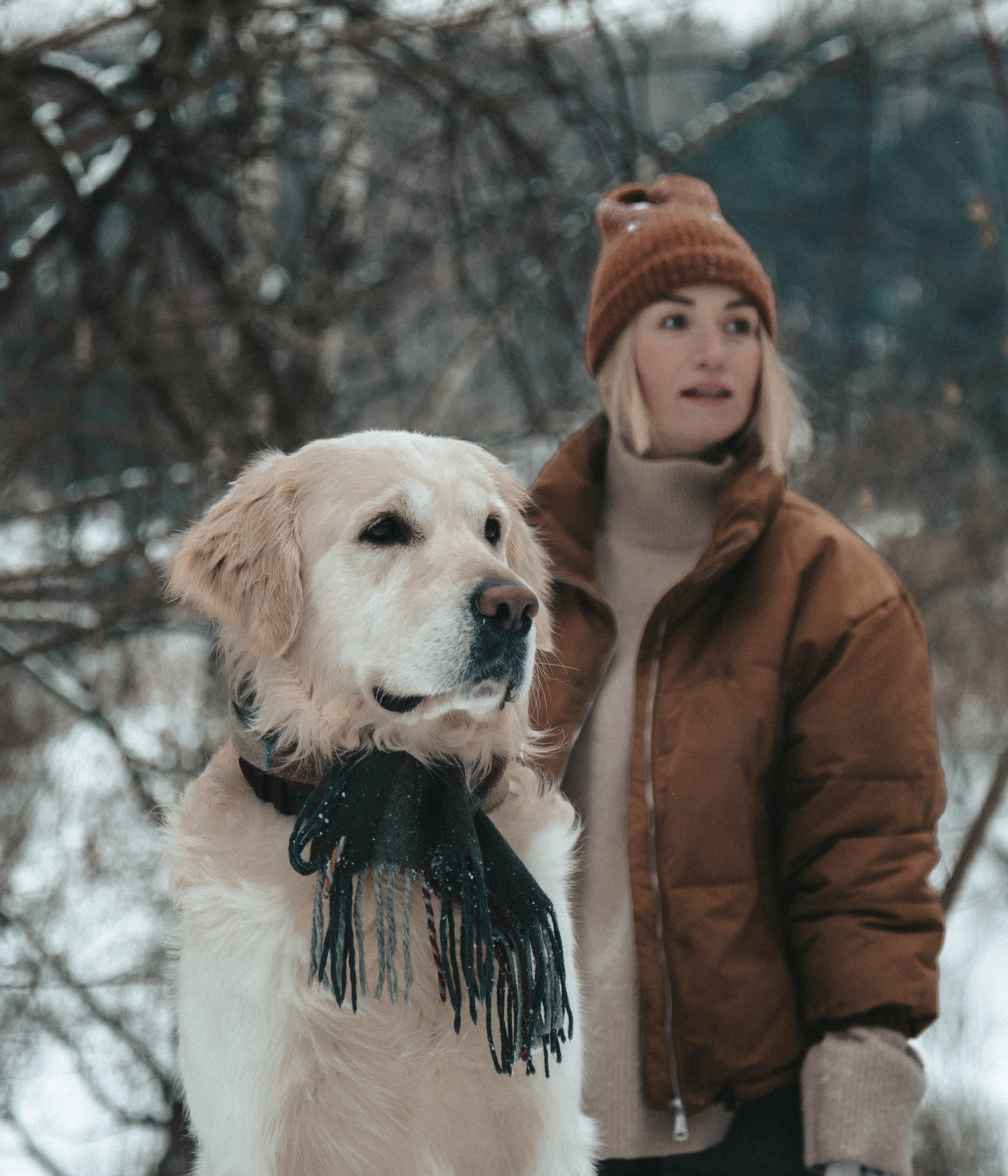 Наши любимые питомцы. Портретный и семейный фотограф из Москвы Светлана Голубцова
