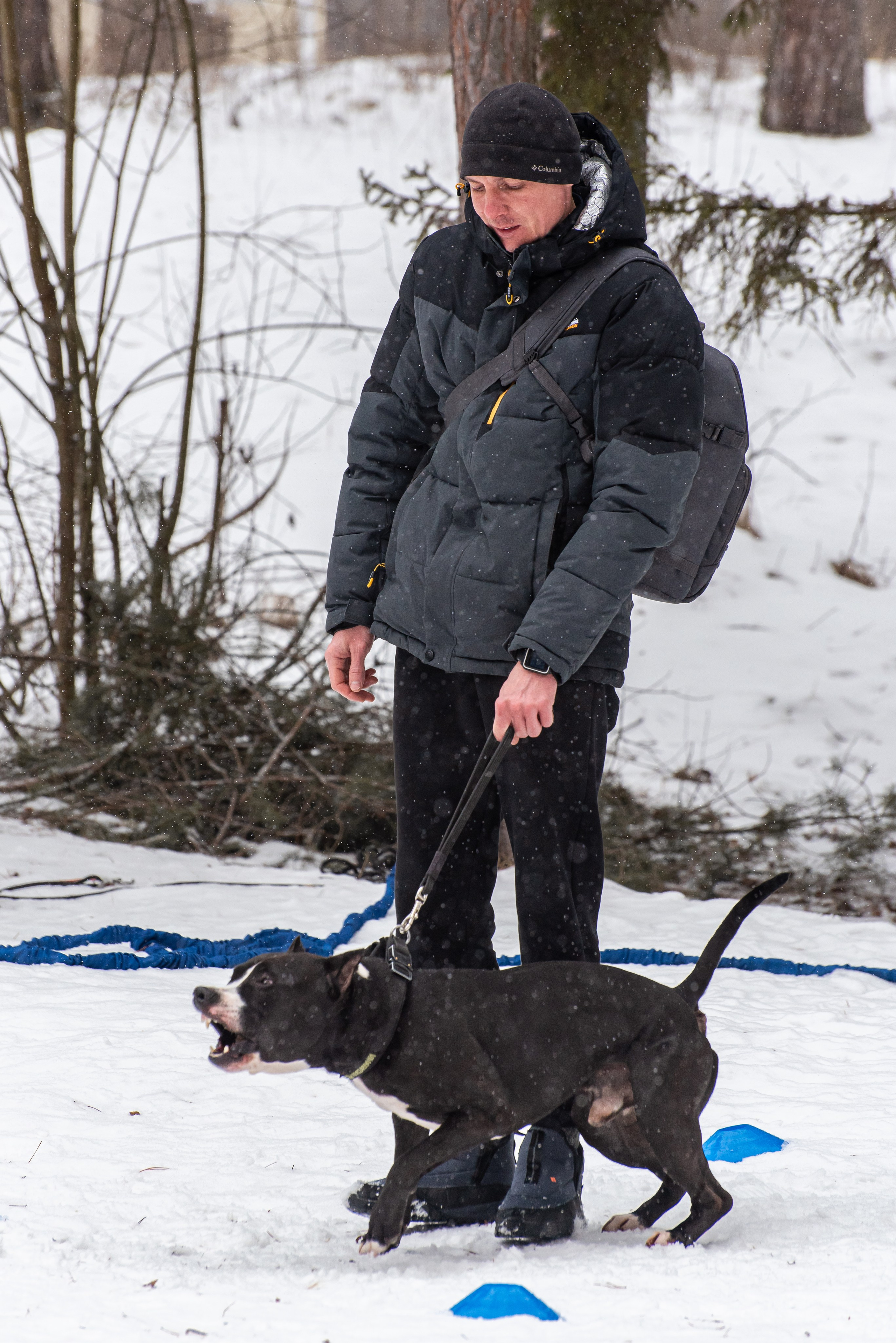 Фотосъёмка с собаками в Кинологическом лагере. Фотограф Макс Огурцов в Нижнем Новгороде