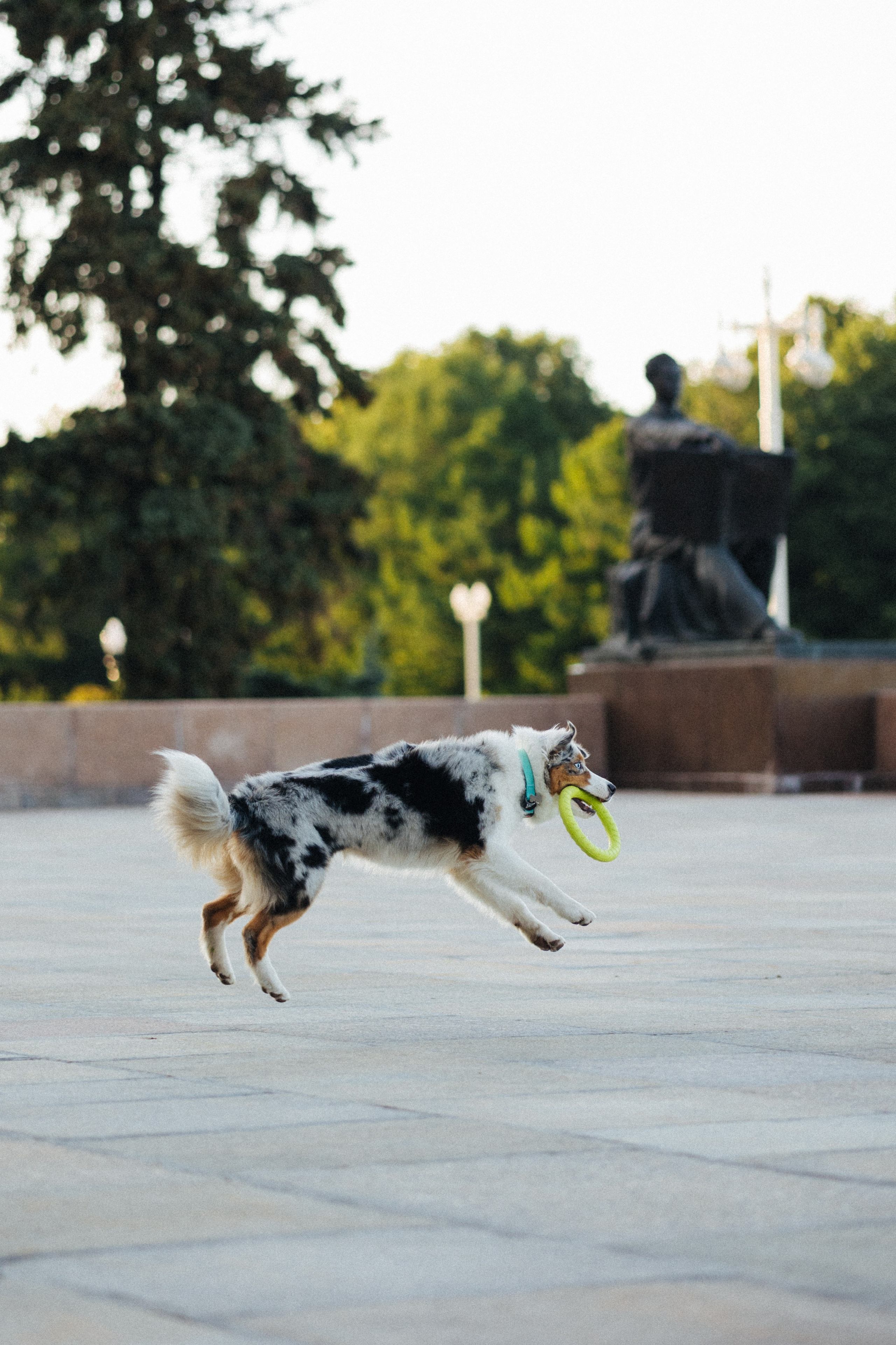 Настя, Влад и Лэйк. Фотораф — анималист Мария Шистка