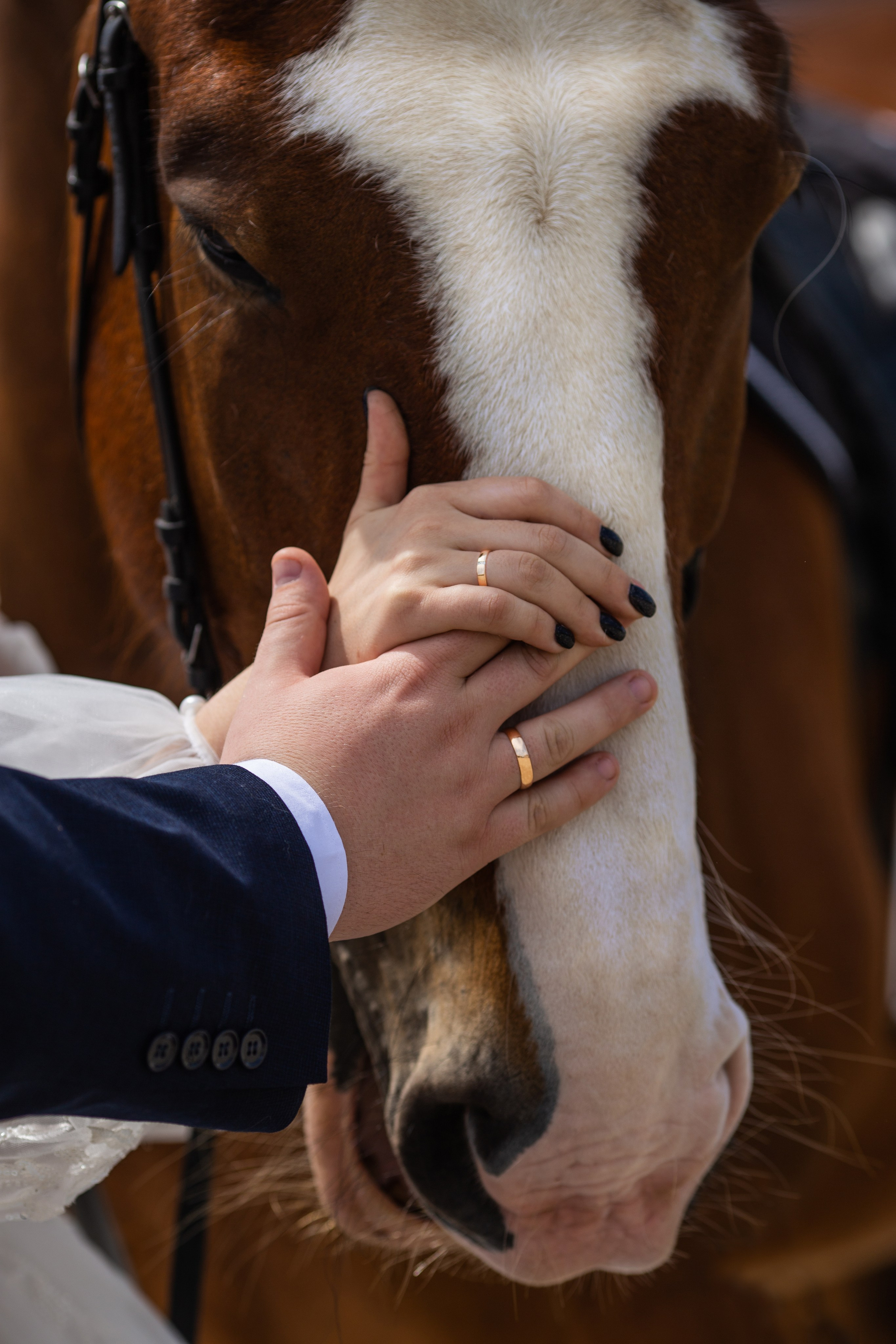 Ксения. Фотограф Юлия Гросс