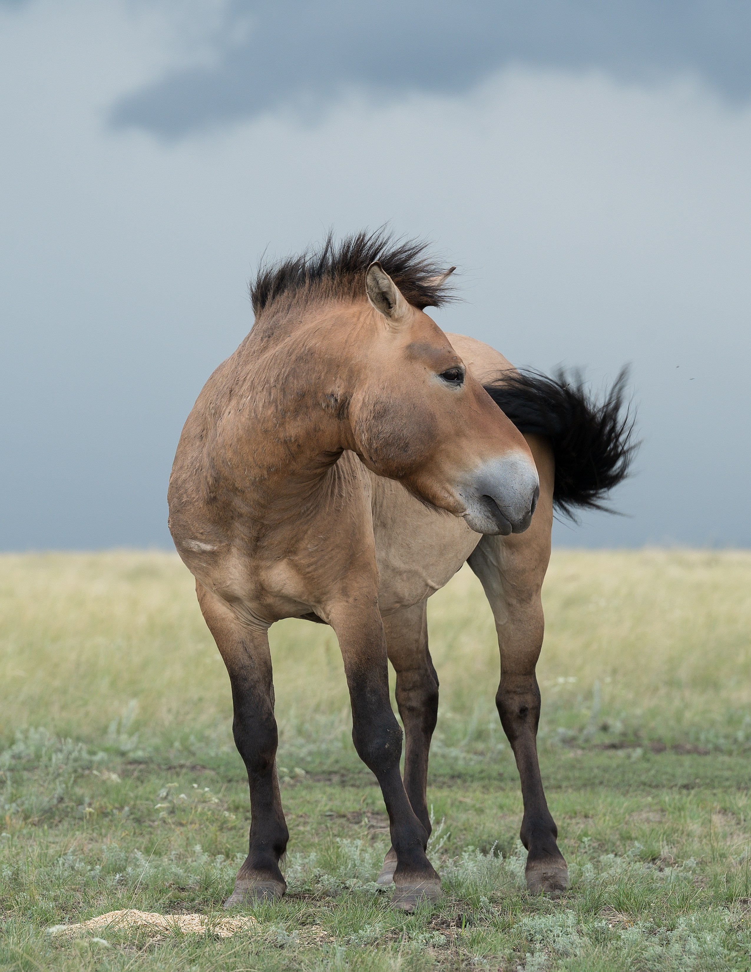 В природе. Портретный фотограф в Челябинске Катерина Руди