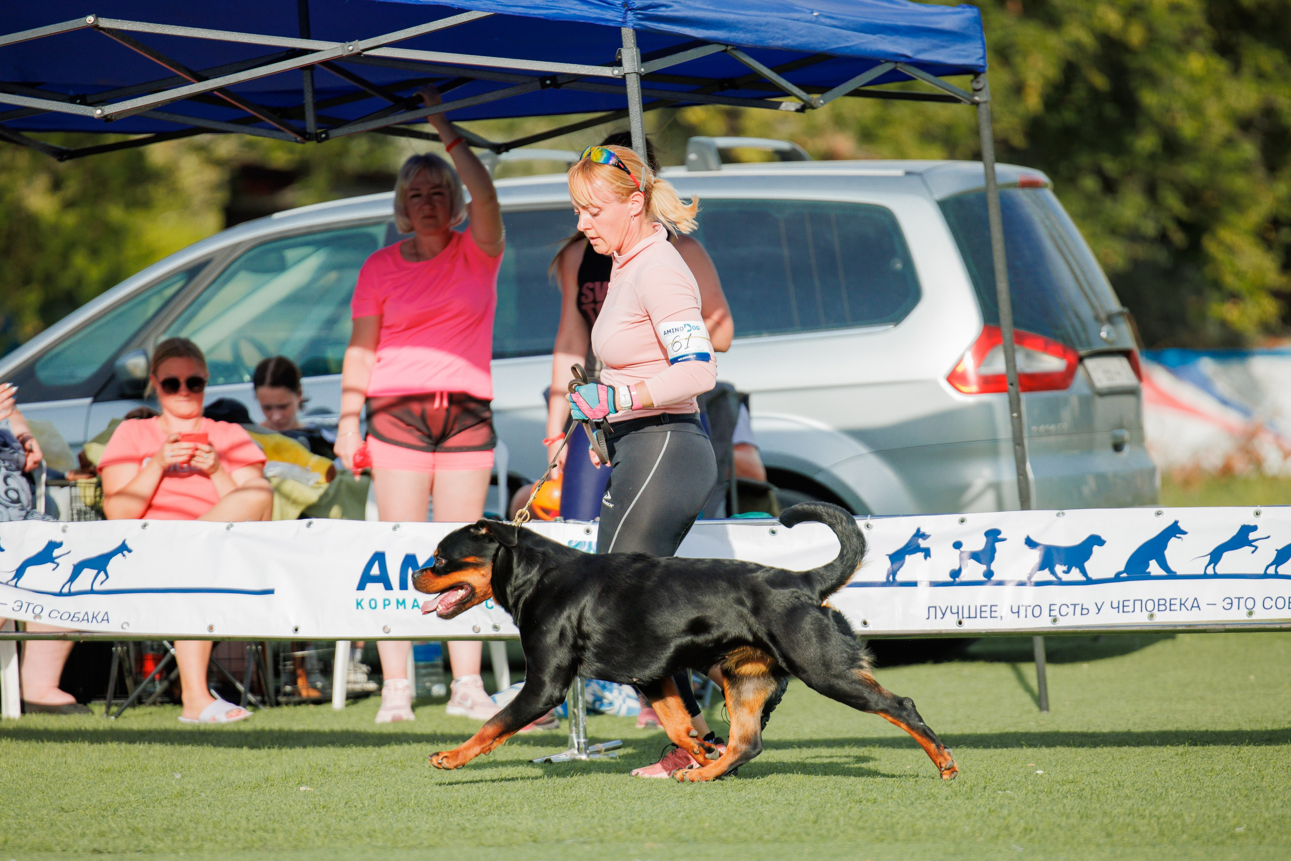 Анапа ротвейлеры 14-15.09.2024. Фотограф-анималист Юлия Германика
