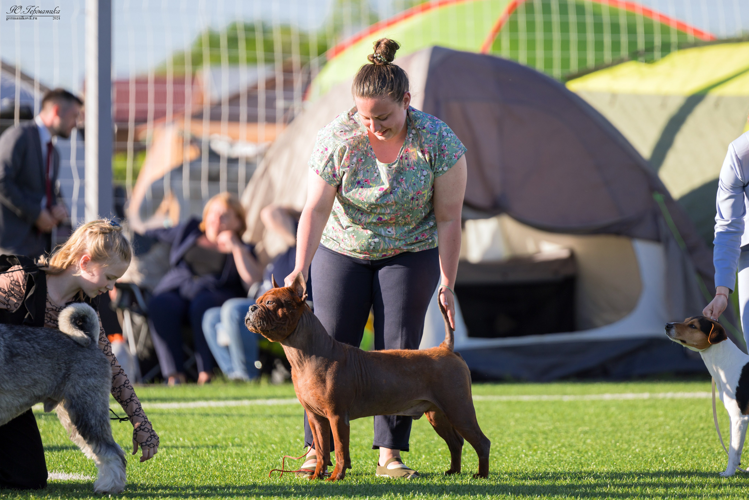 Суздаль 18-19.05.2024. Фотограф-анималист Юлия Германика