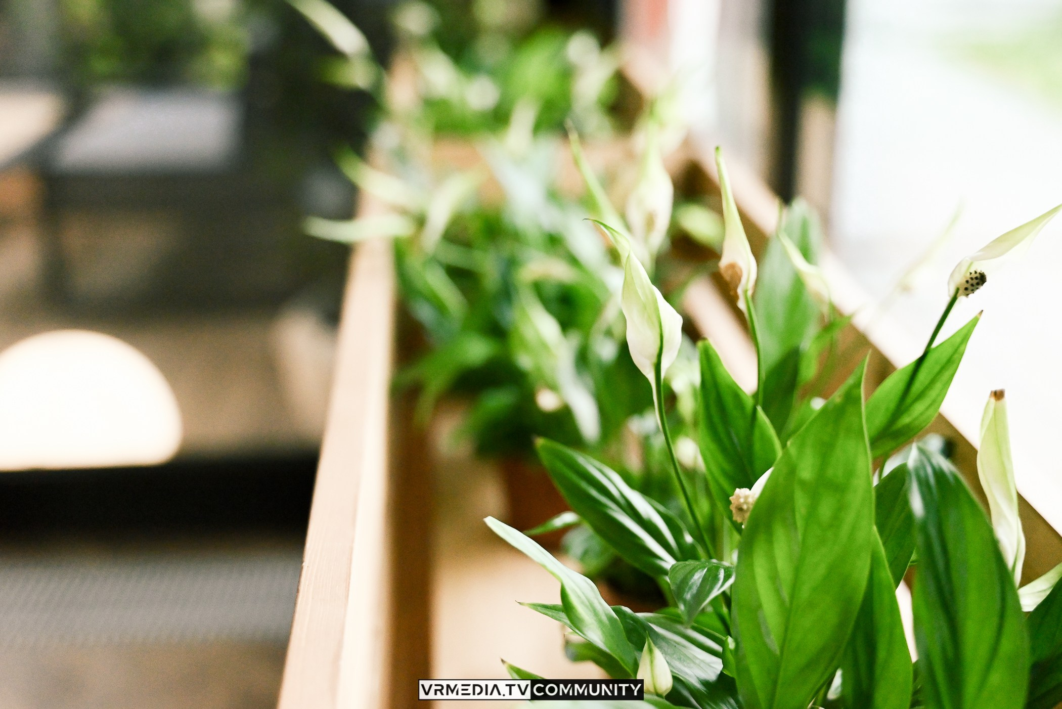 Ресторан «Volna»: Открытия летней веранды «Хочу на дачу»