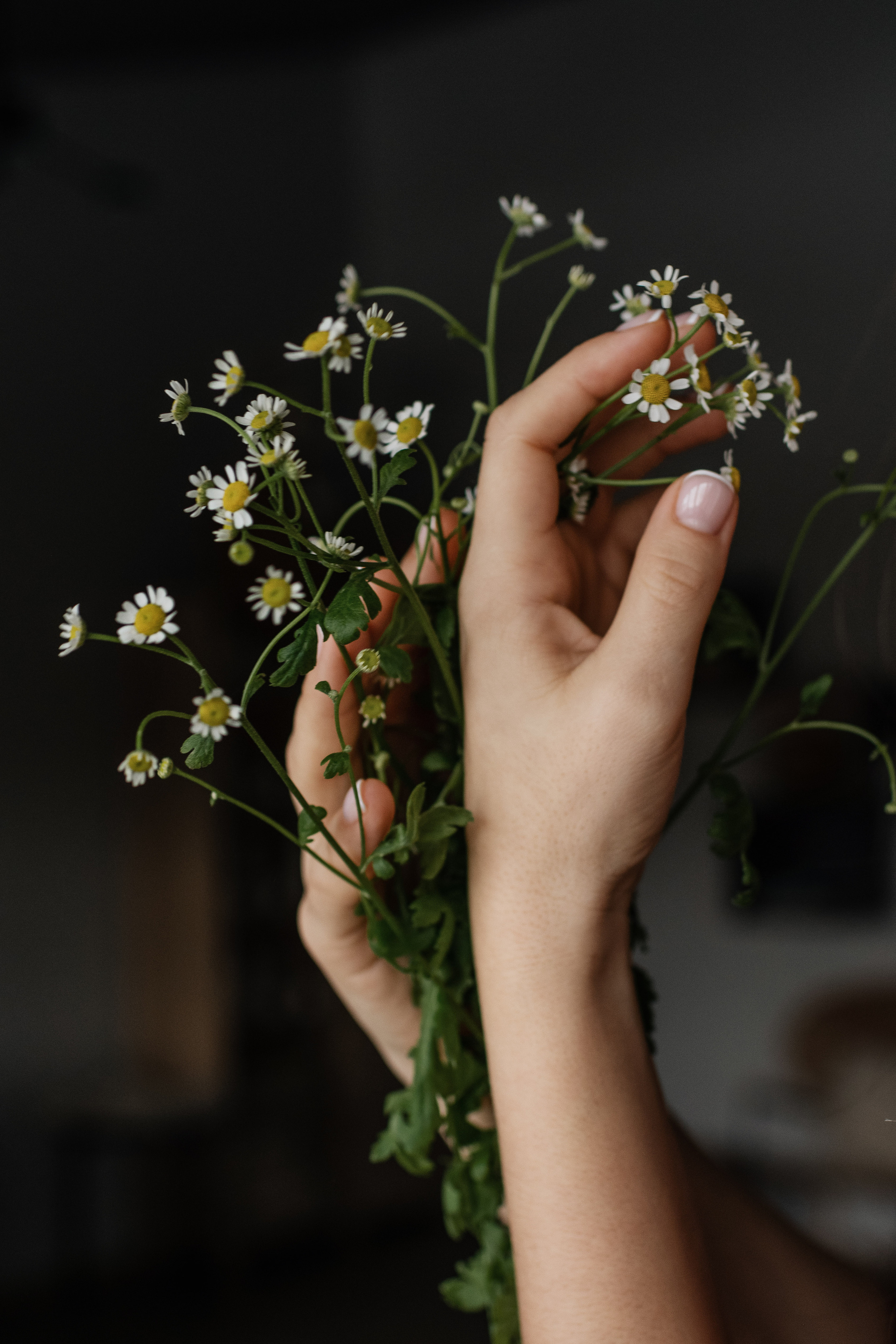 Женский портрет. Женский фотограф в Москве и Московской области Лена Чалых