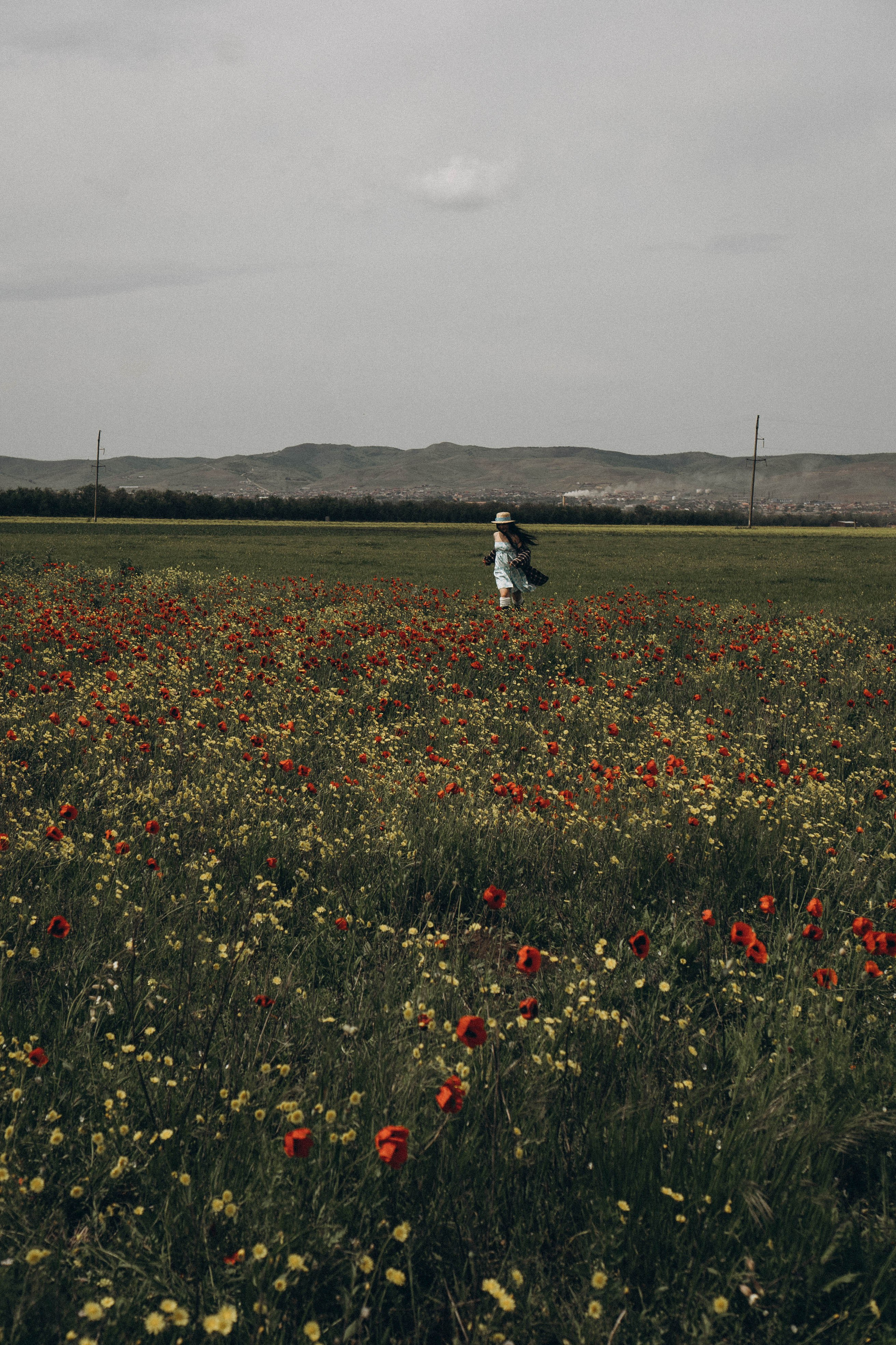 Цветочная поляна. Профессиональный фотограф, Санкт-Петербург — Виктория Богомолова