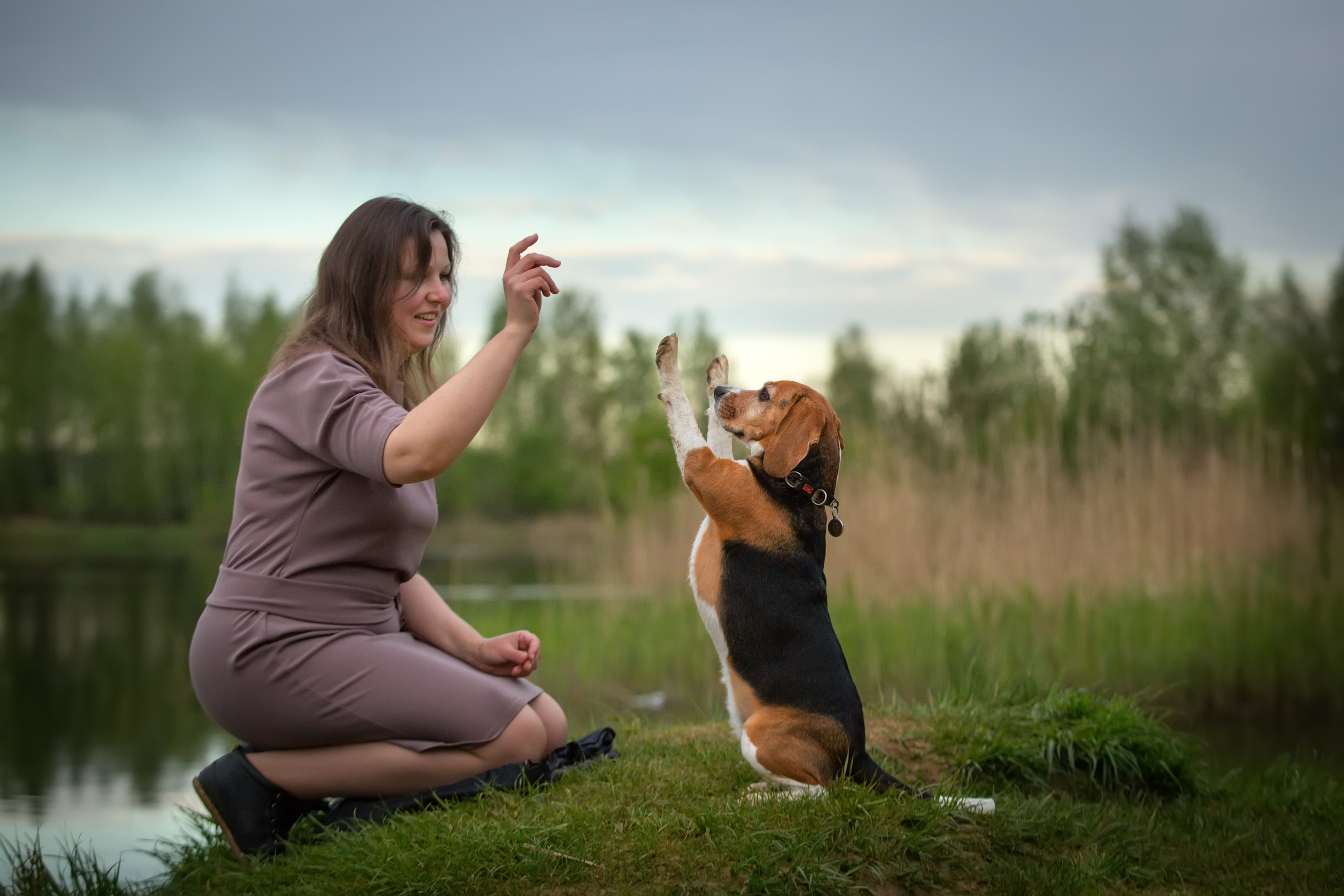 Бигли питомника КрисМэлл. Фотограф-анималист Natalia Deingel | Фотосъемка собак в Москве