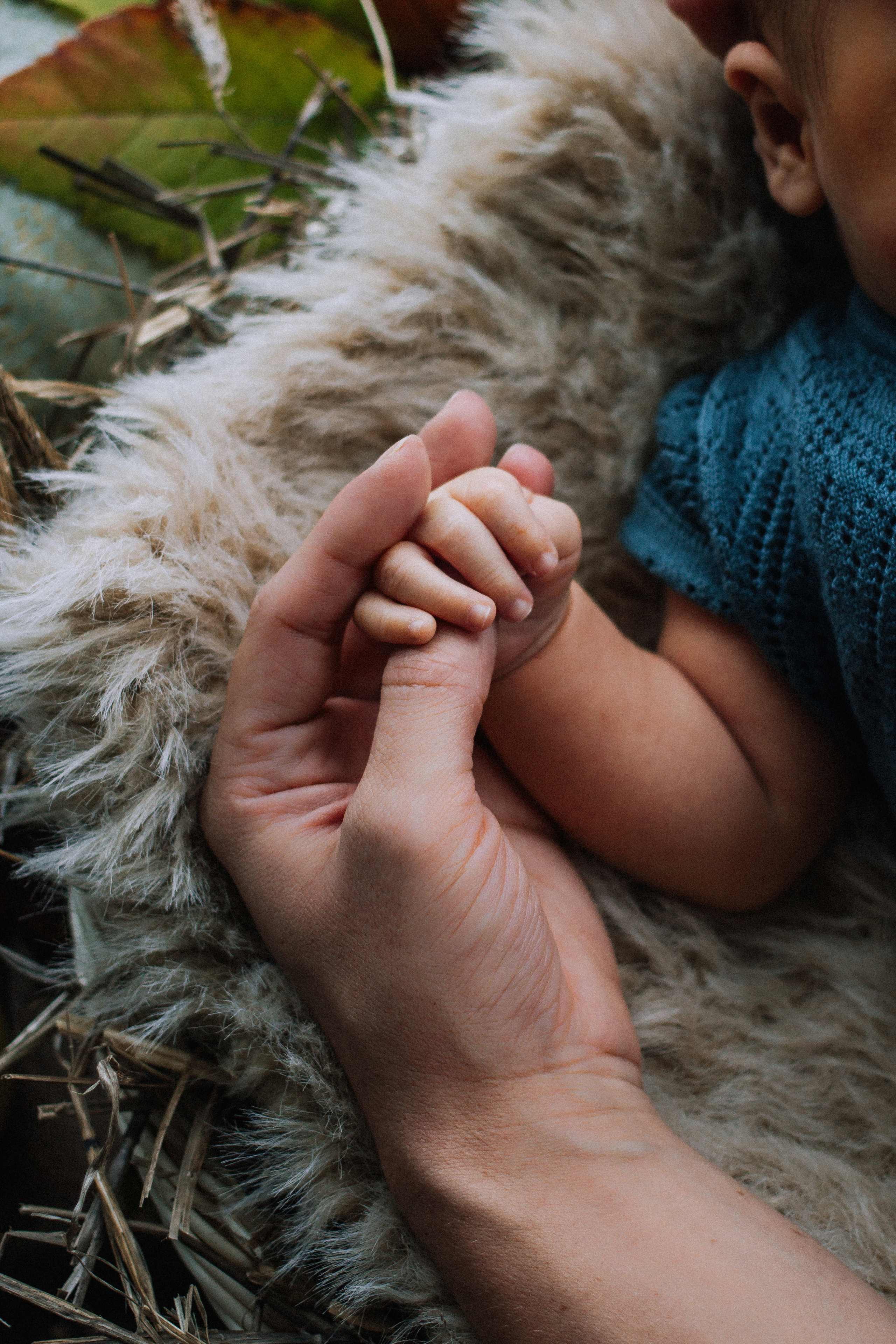 Осенний Дамир. Фотографии с любовью