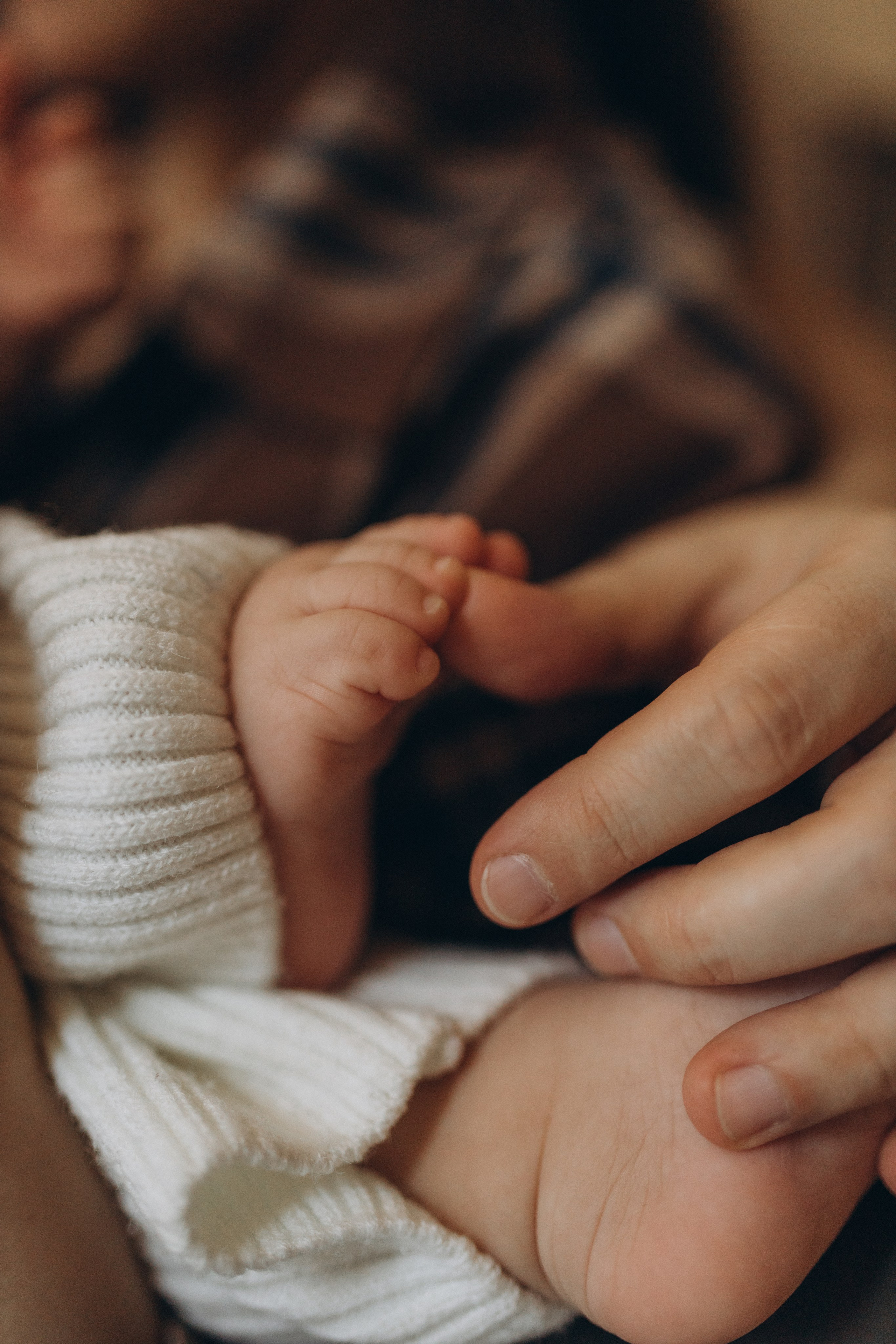 Домашняя новогодняя история про Леона. Семейный фотограф Мария Маркова Москва и Одинцово