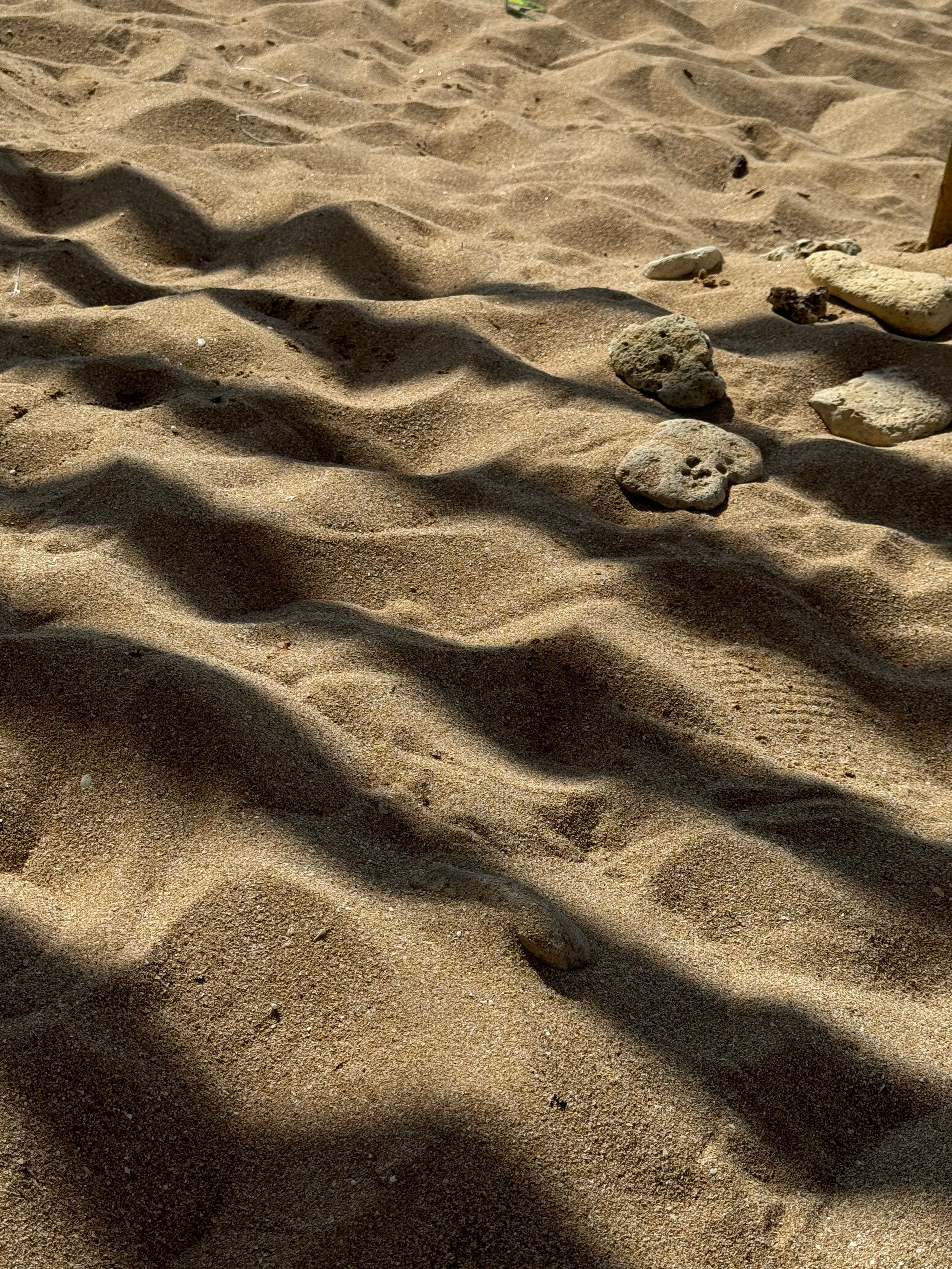 Эстетика. Екатерина Таирова. Контент-фотограф из Санкт-Петербурга