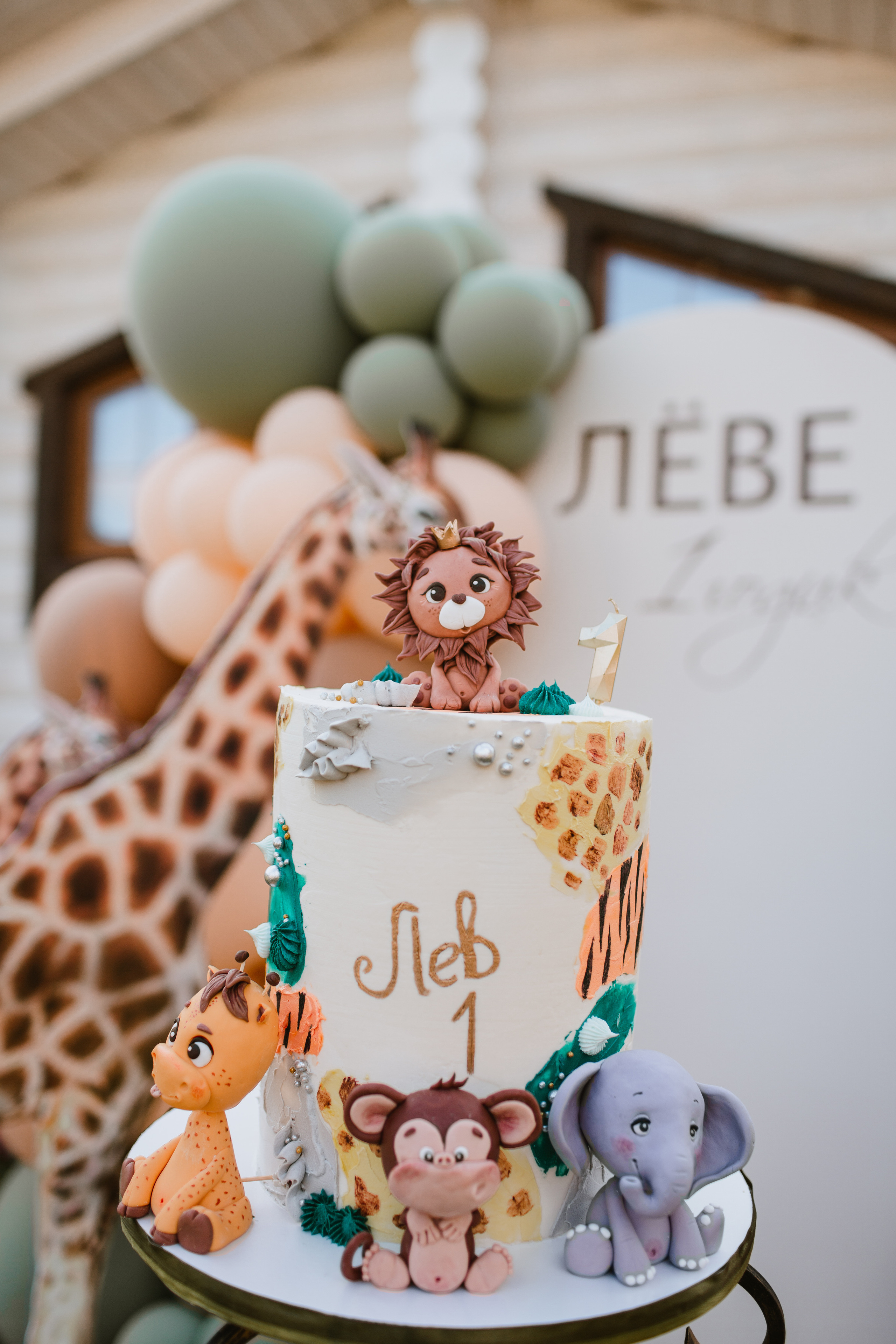 Лев 1. Фотограф и видеограф Мария Банщикова, Солнечногорск, Москва