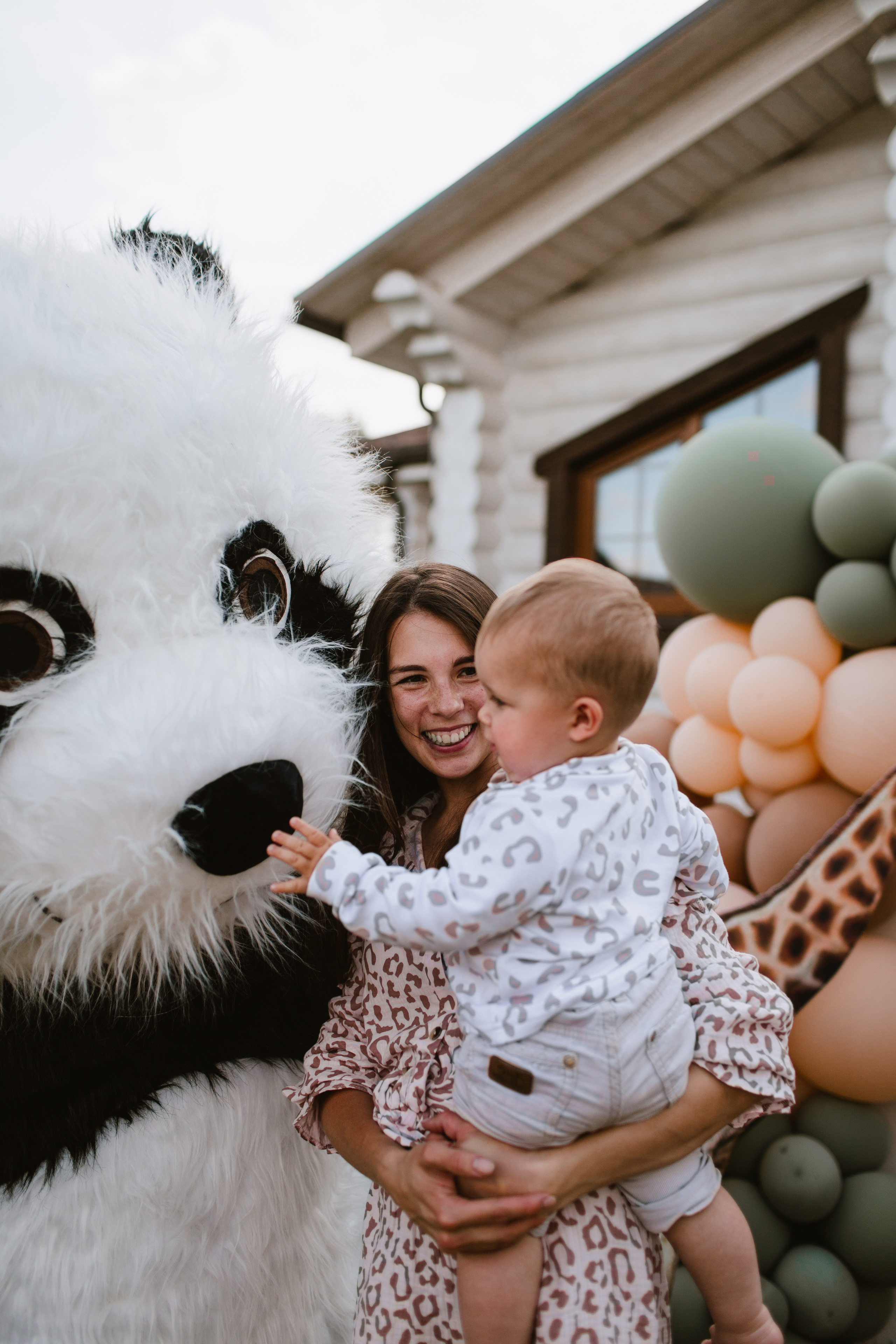 Лев 1. Фотограф и видеограф Мария Банщикова, Солнечногорск, Москва