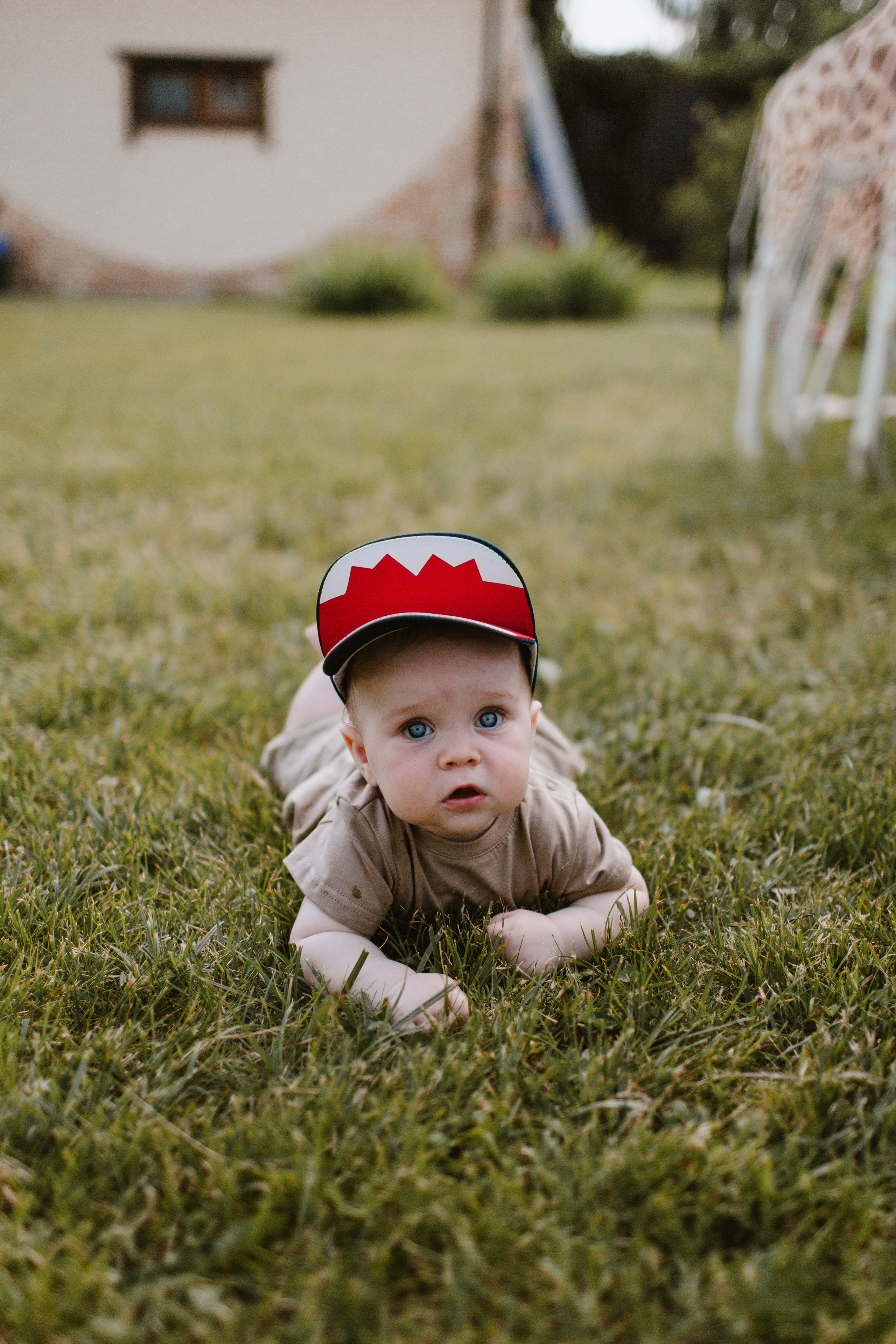 Лев 1. Фотограф и видеограф Мария Банщикова, Солнечногорск, Москва