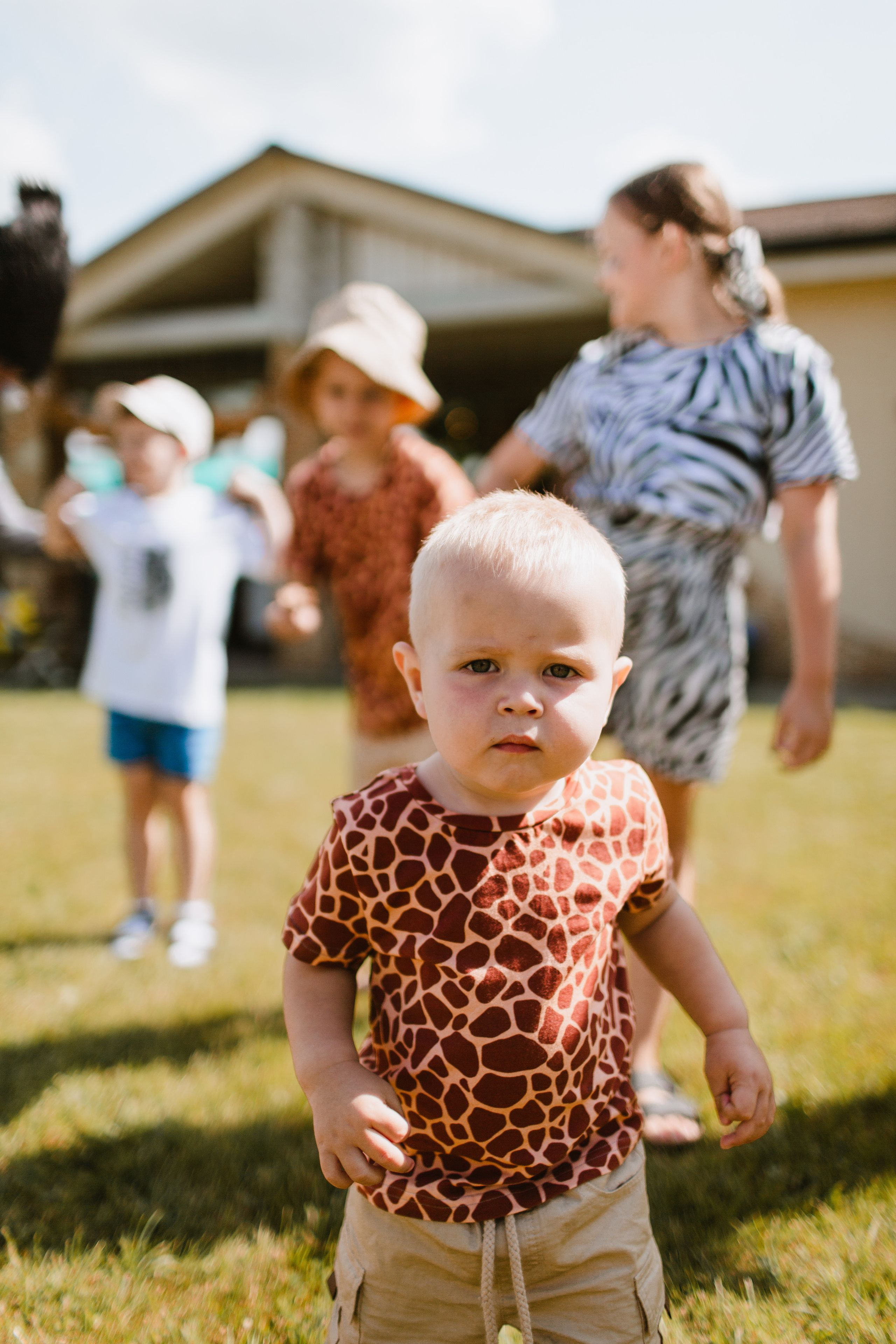Лев 1. Фотограф и видеограф Мария Банщикова, Солнечногорск, Москва
