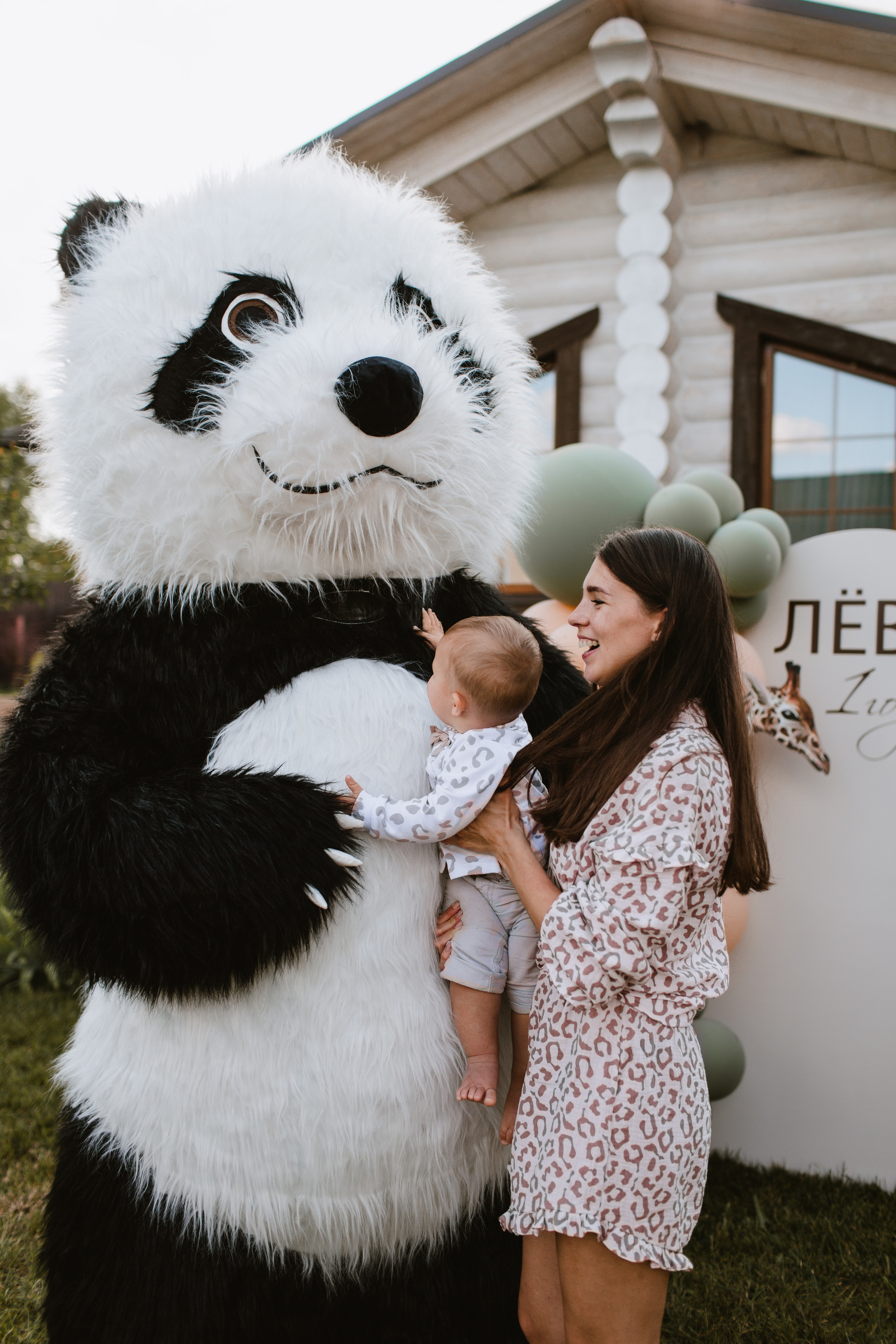 Лев 1. Фотограф и видеограф Мария Банщикова, Солнечногорск, Москва