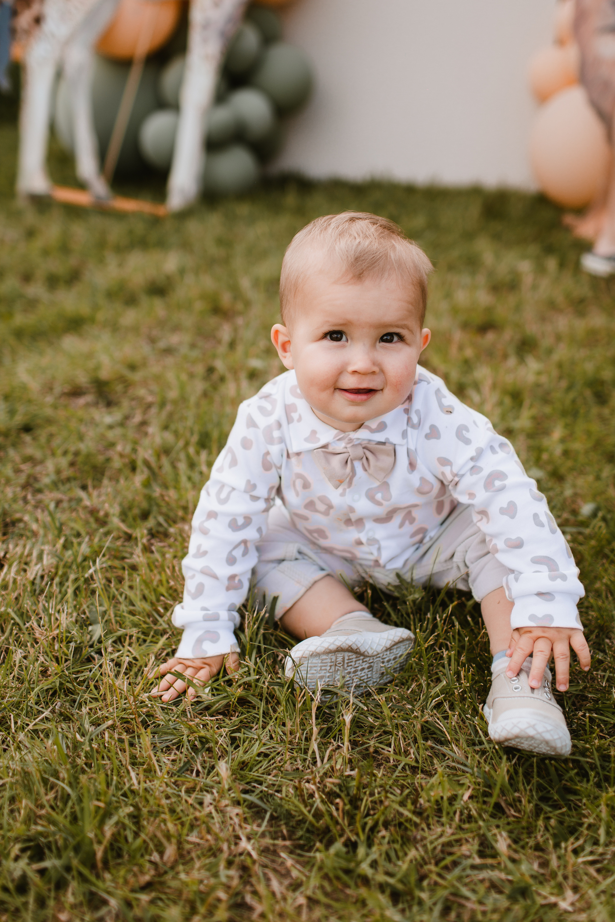 Лев 1. Фотограф и видеограф Мария Банщикова, Солнечногорск, Москва