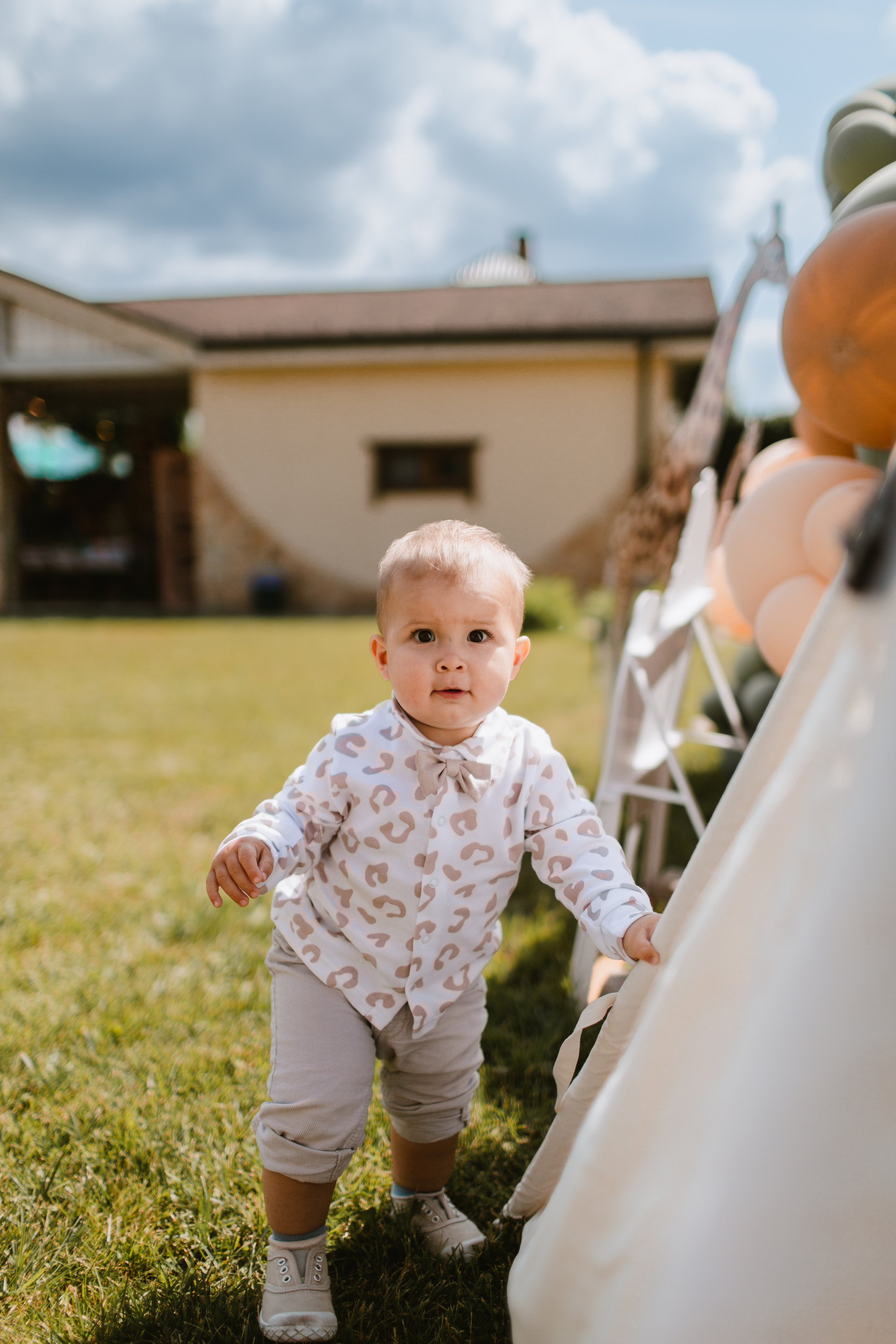 Лев 1. Фотограф и видеограф Мария Банщикова, Солнечногорск, Москва