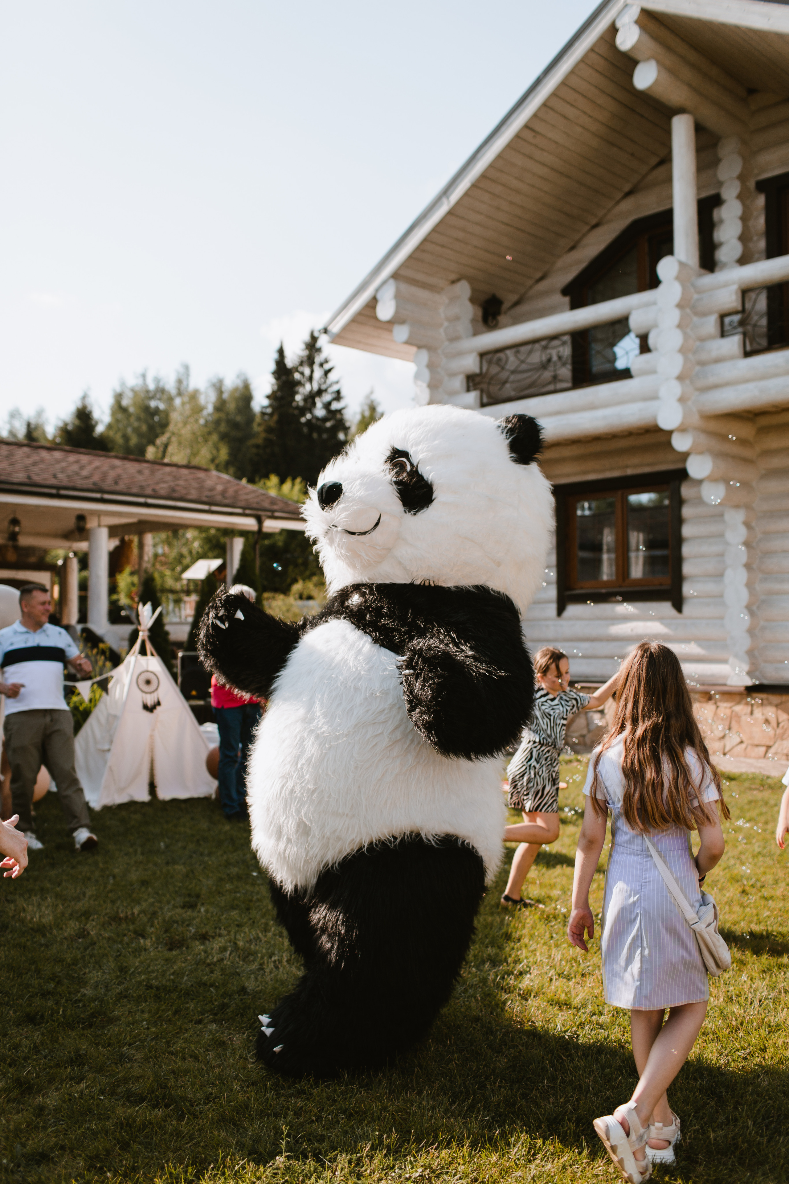 Лев 1. Фотограф и видеограф Мария Банщикова, Солнечногорск, Москва