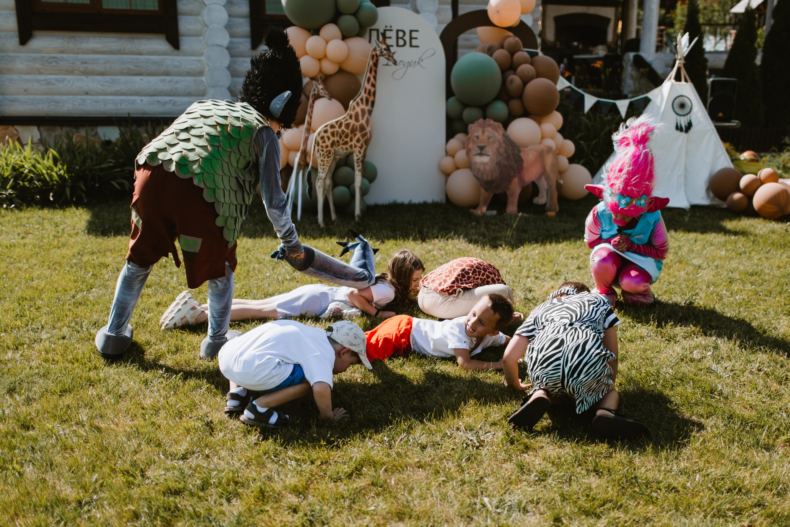Лев 1. Фотограф и видеограф Мария Банщикова, Солнечногорск, Москва