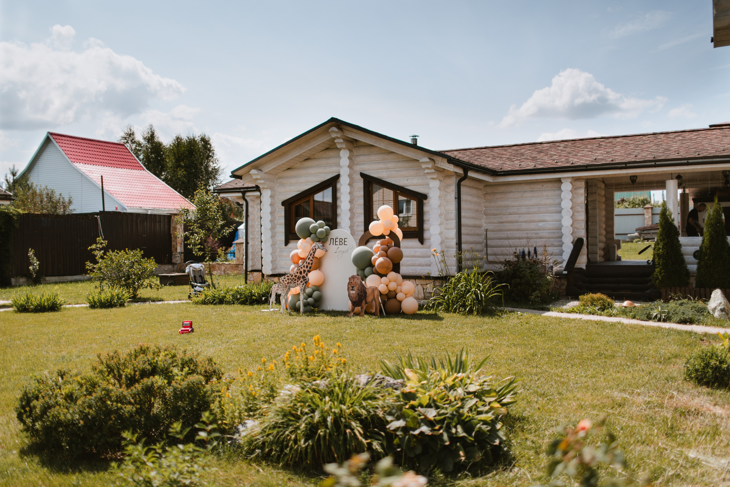Лев 1. Фотограф и видеограф Мария Банщикова, Солнечногорск, Москва