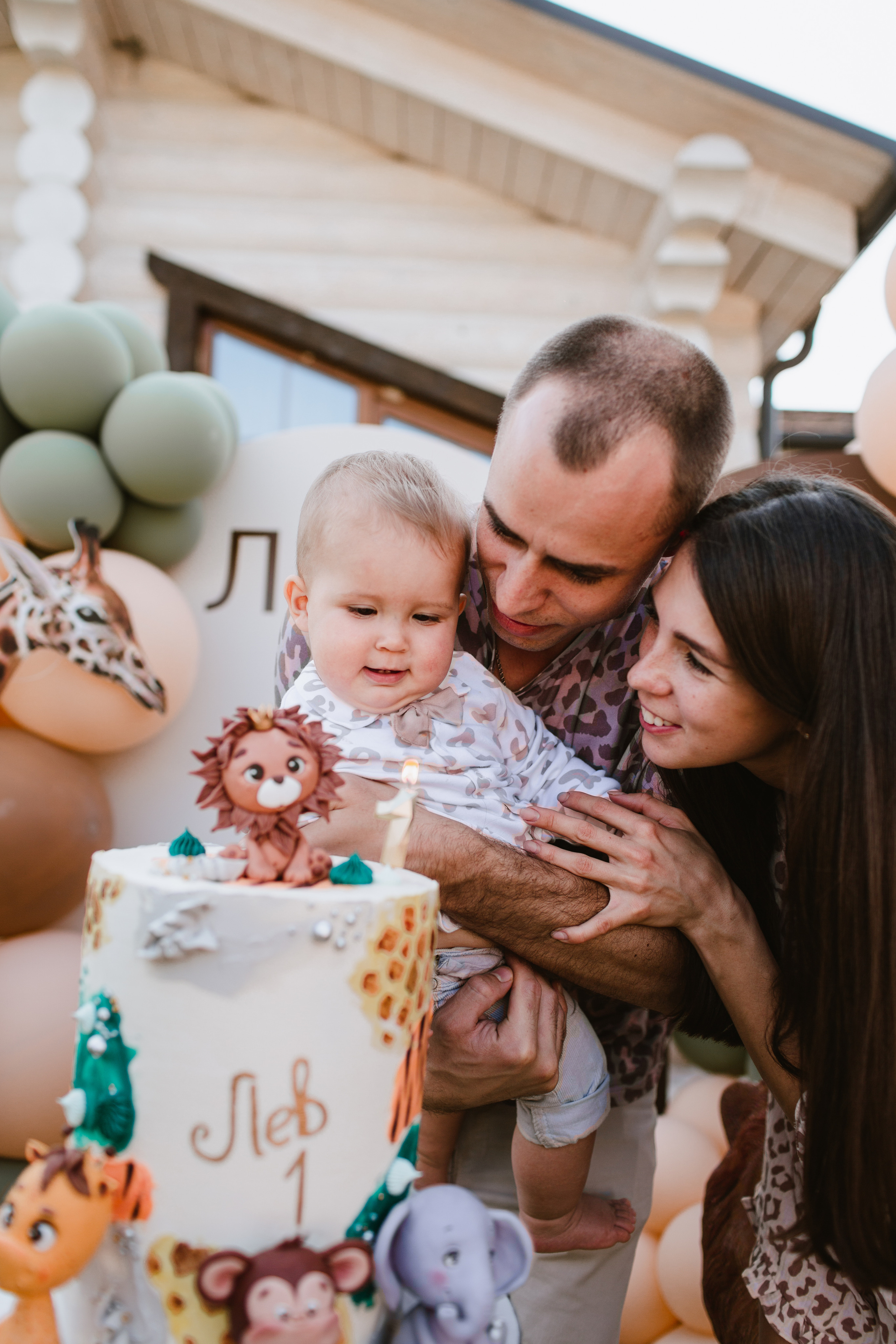 Лев 1. Фотограф и видеограф Мария Банщикова, Солнечногорск, Москва