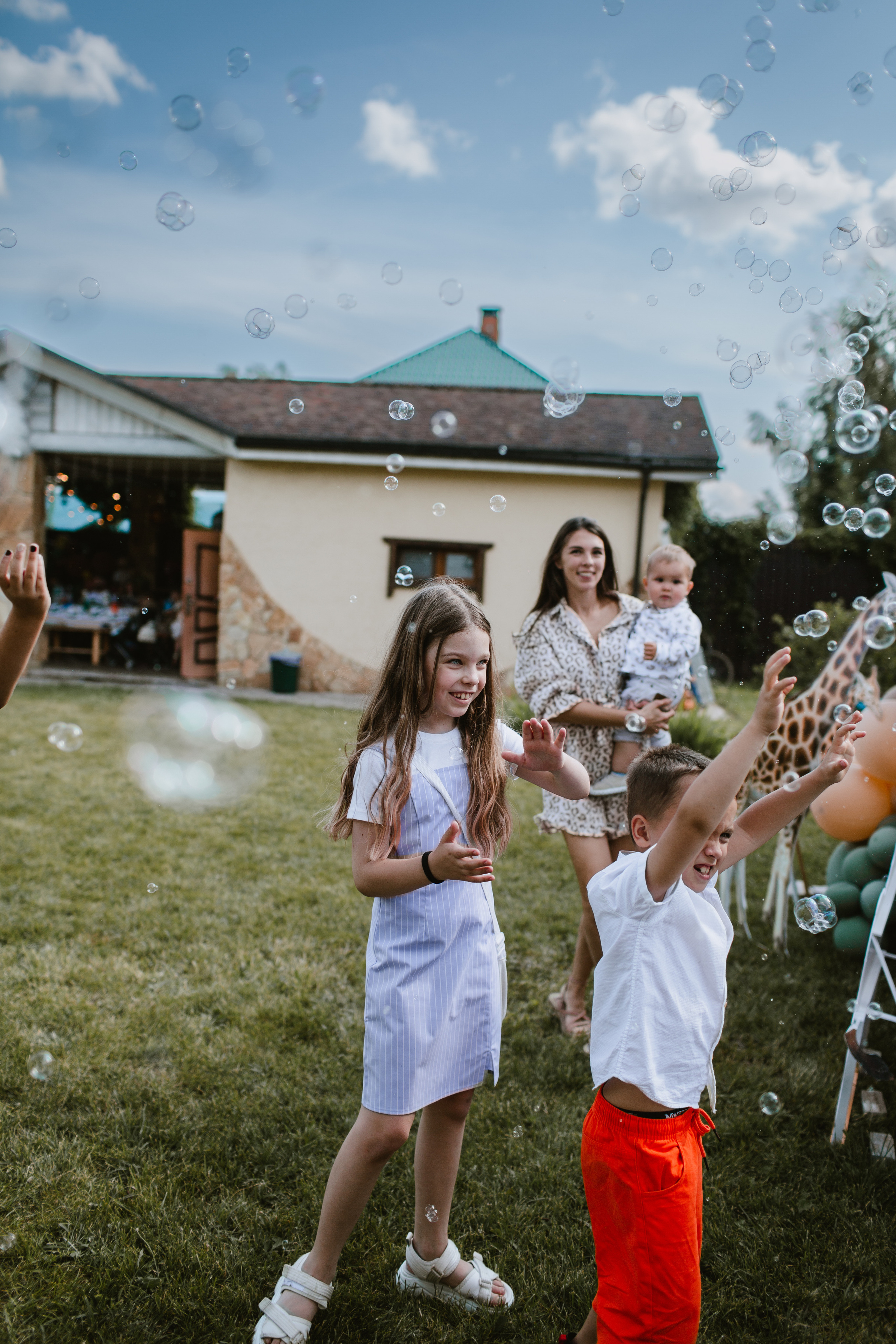 Лев 1. Фотограф и видеограф Мария Банщикова, Солнечногорск, Москва