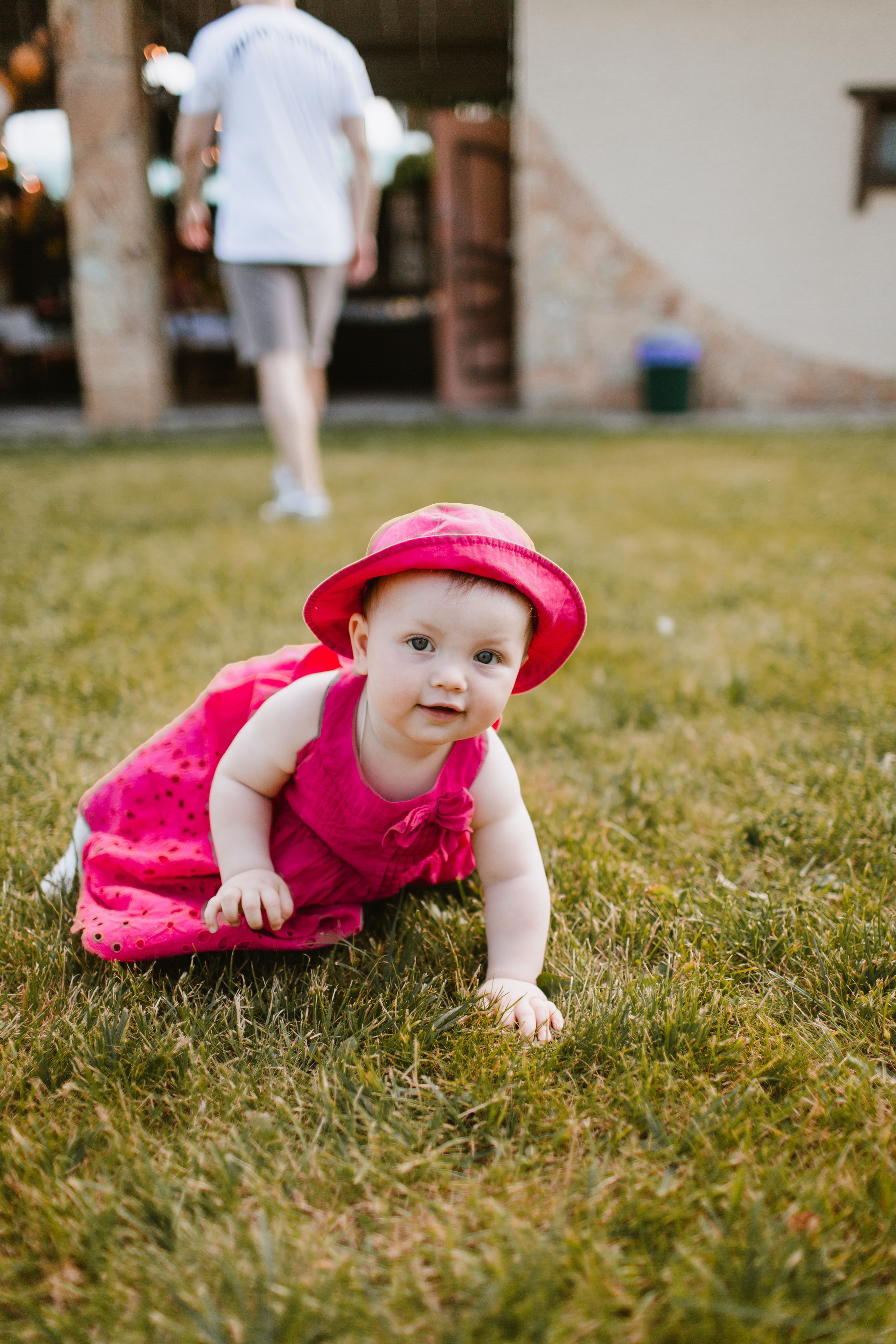 Лев 1. Фотограф и видеограф Мария Банщикова, Солнечногорск, Москва