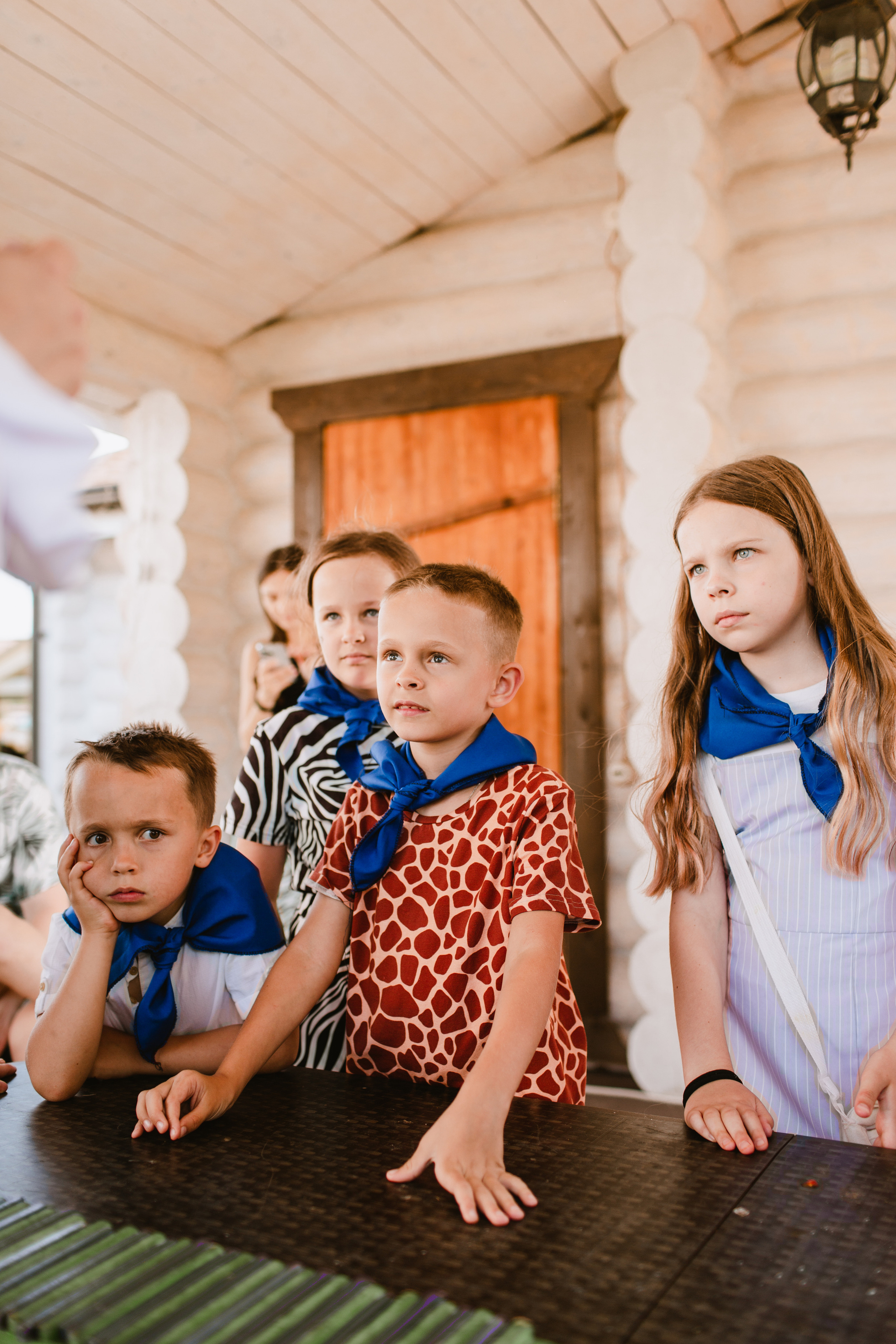 Лев 1. Фотограф и видеограф Мария Банщикова, Солнечногорск, Москва