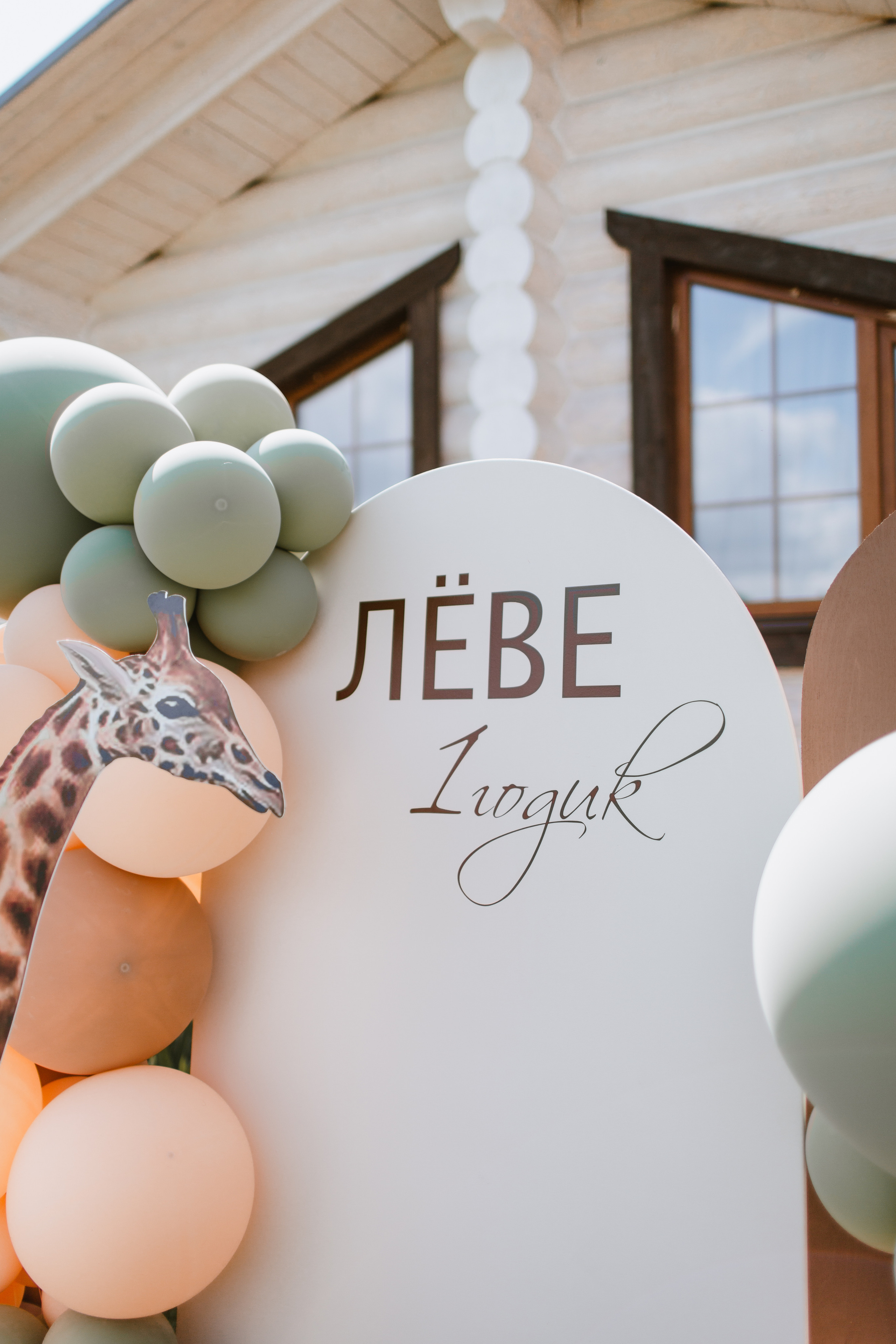 Лев 1. Фотограф и видеограф Мария Банщикова, Солнечногорск, Москва