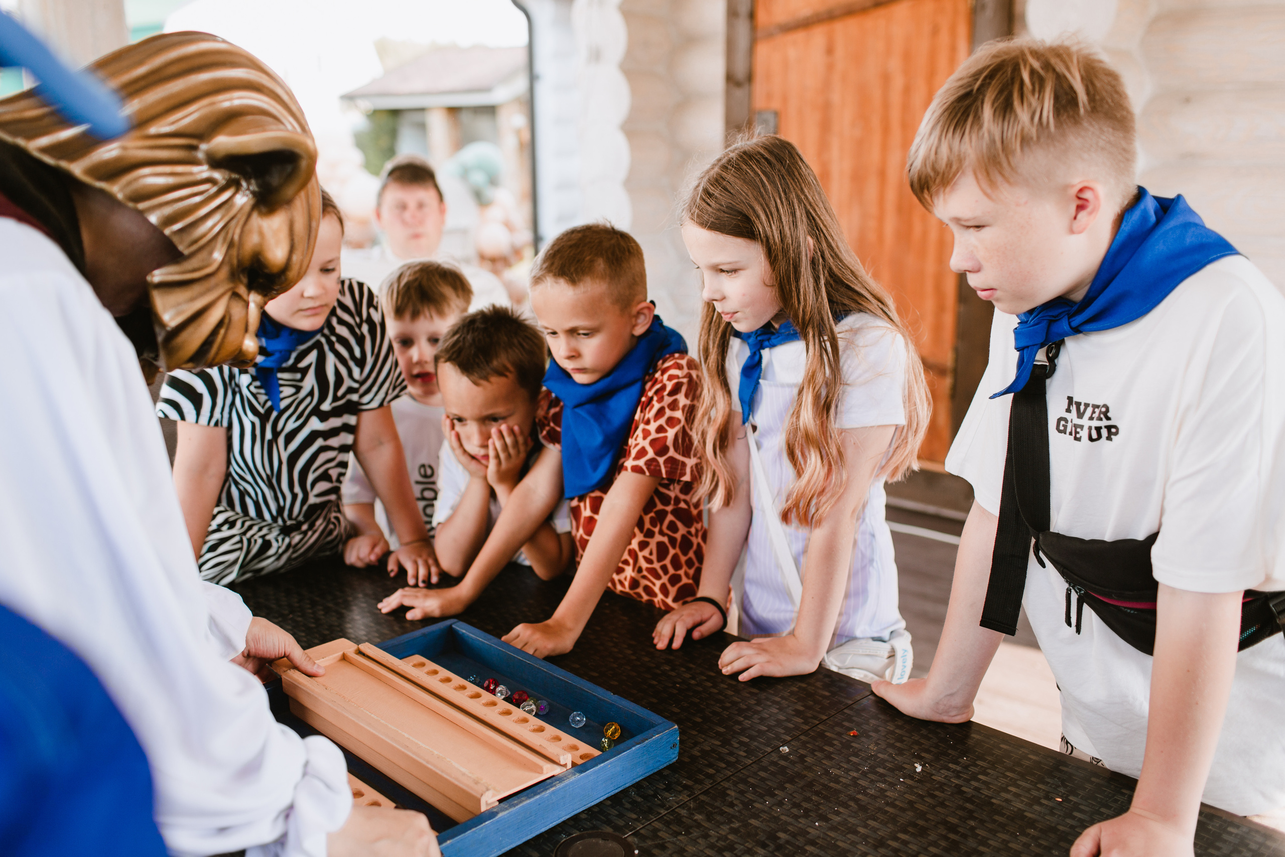 Лев 1. Фотограф и видеограф Мария Банщикова, Солнечногорск, Москва