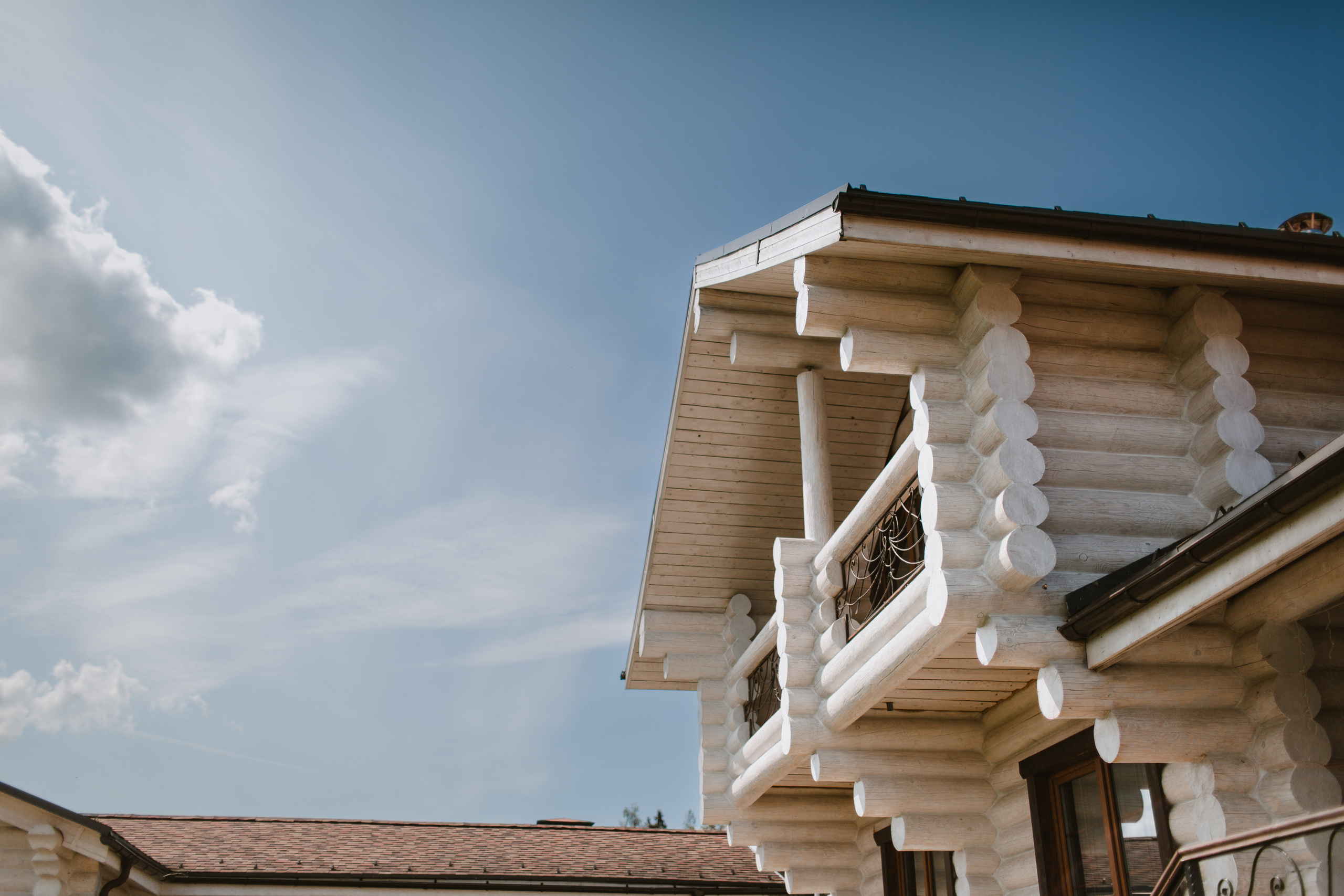Лев 1. Фотограф и видеограф Мария Банщикова, Солнечногорск, Москва