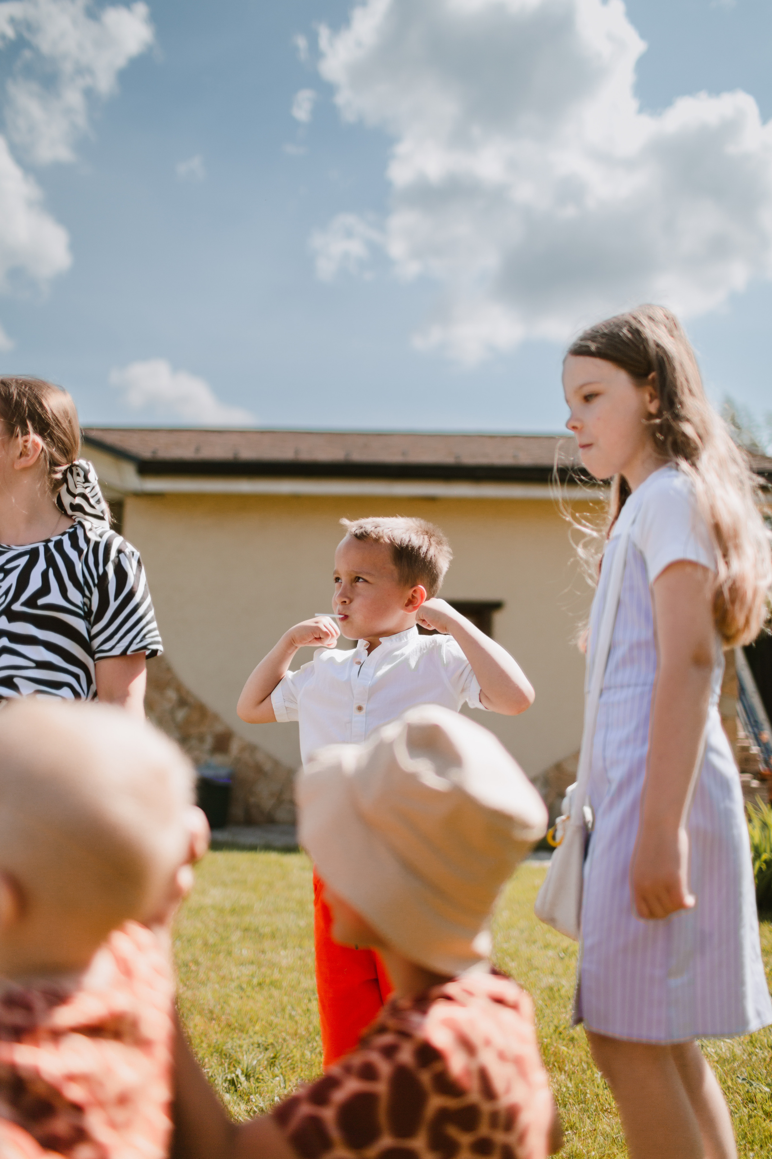 Лев 1. Фотограф и видеограф Мария Банщикова, Солнечногорск, Москва