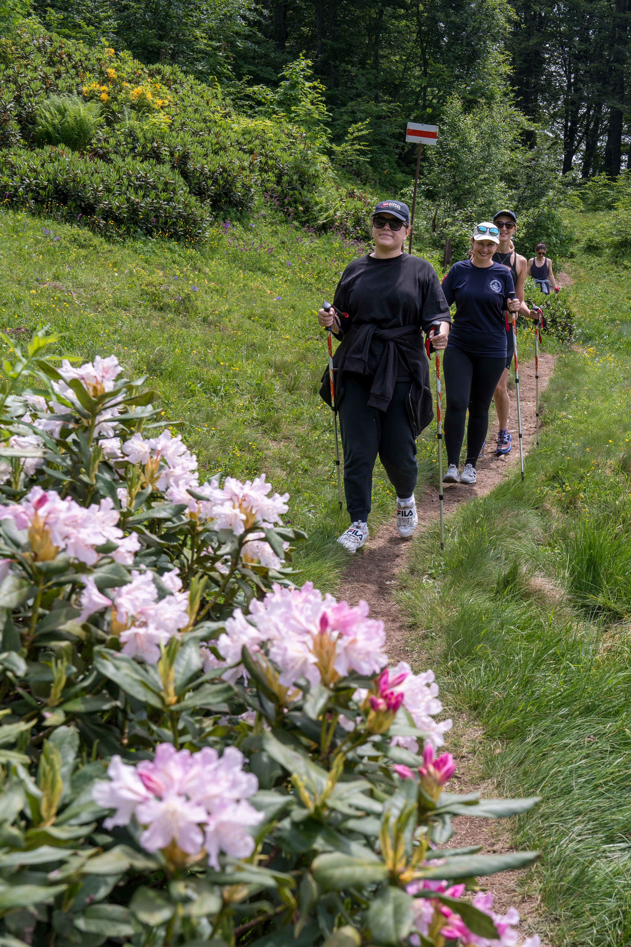 MICE мероприятие для компании «Доставка морем»: хайкинг к Ачипсинским водопадам. Репортажный фотограф в Красной Поляне и Сочи Павлюченко Екатерина