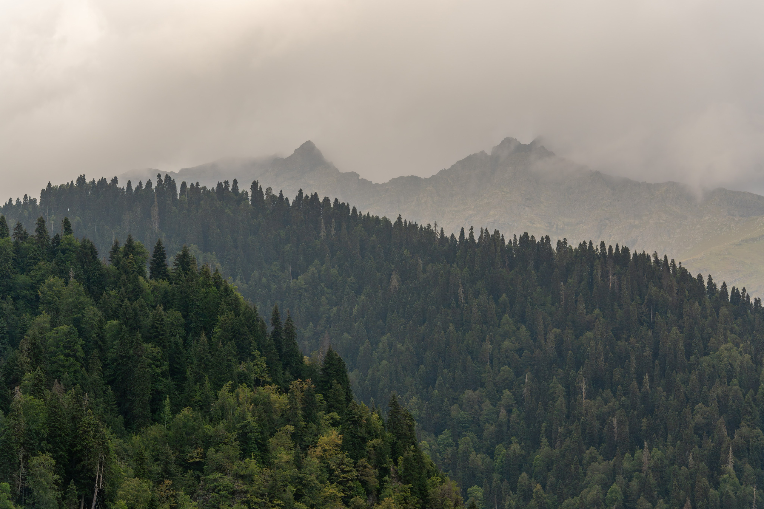 MICE мероприятие — тур по Абхазии. Репортажный фотограф в Красной Поляне и Сочи Павлюченко Екатерина