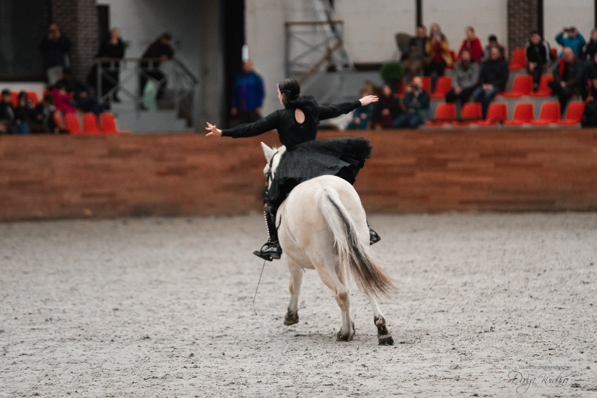 8-я международная выставка Конная Россия. Конный фотограф Куракина Дарья • Фотосессии с лошадьми