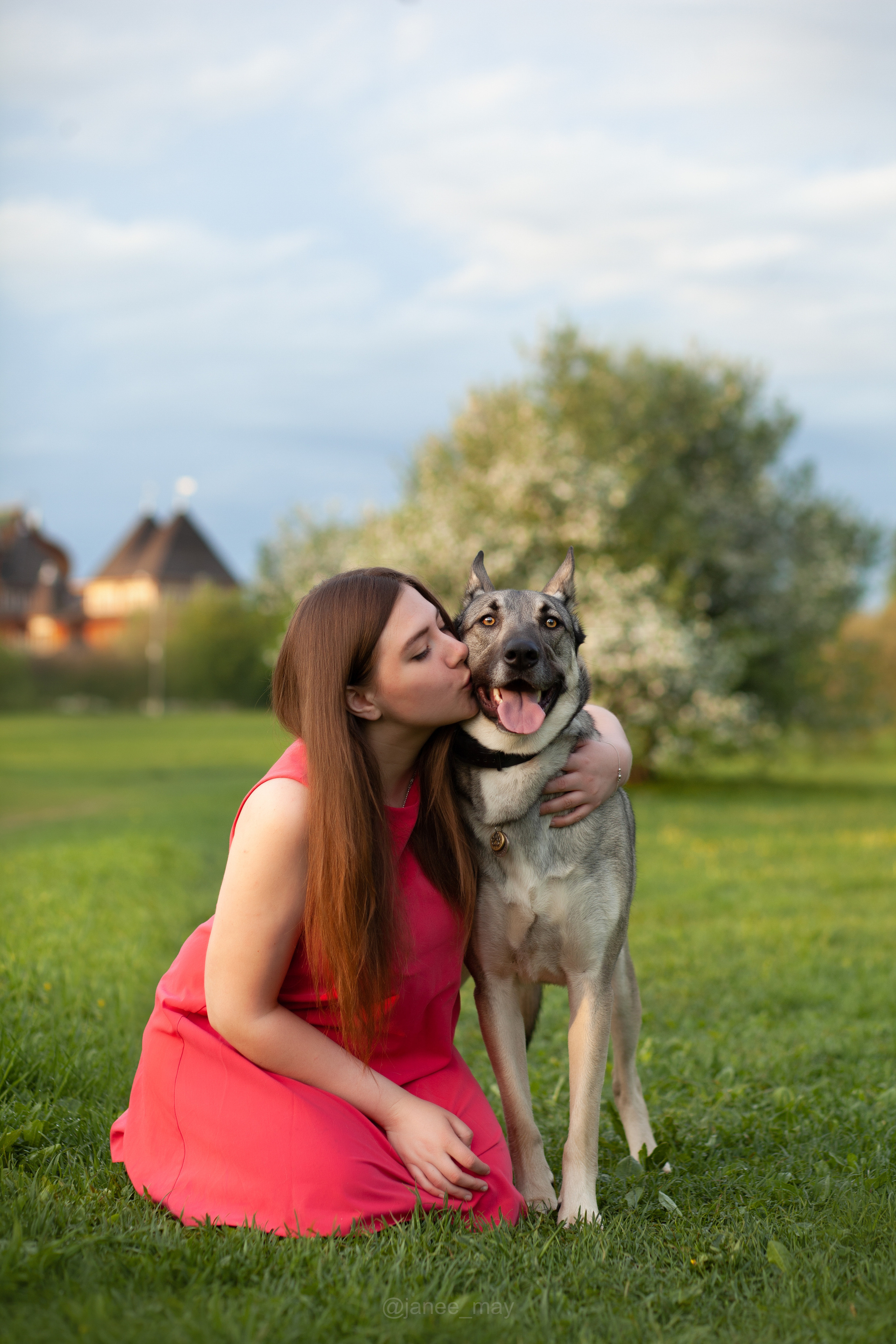 Фото собак, животных весной. Фотограф анималист в Москве Майорова Евгения